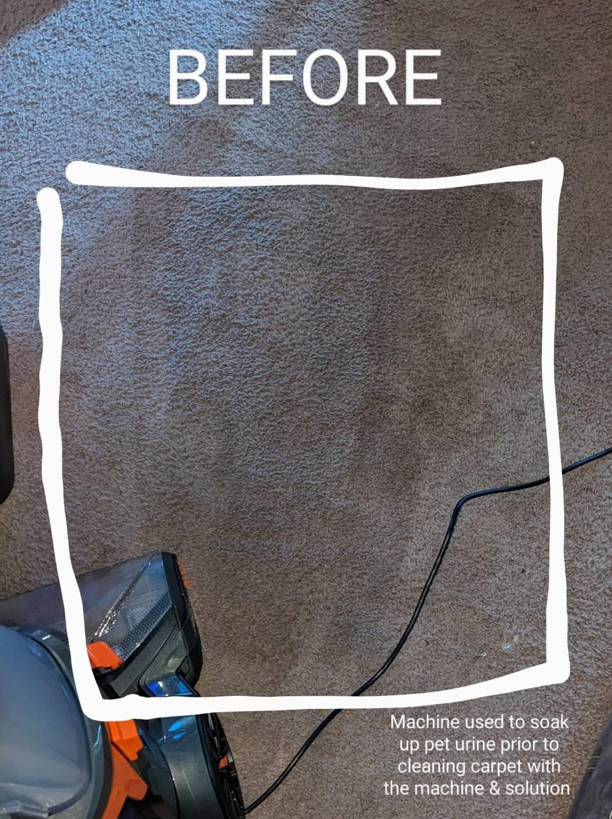Bissell ProHeat 2X Revolution Pet Full Size Upright Carpet Cleaner, 1548F, Orange customer photo 1