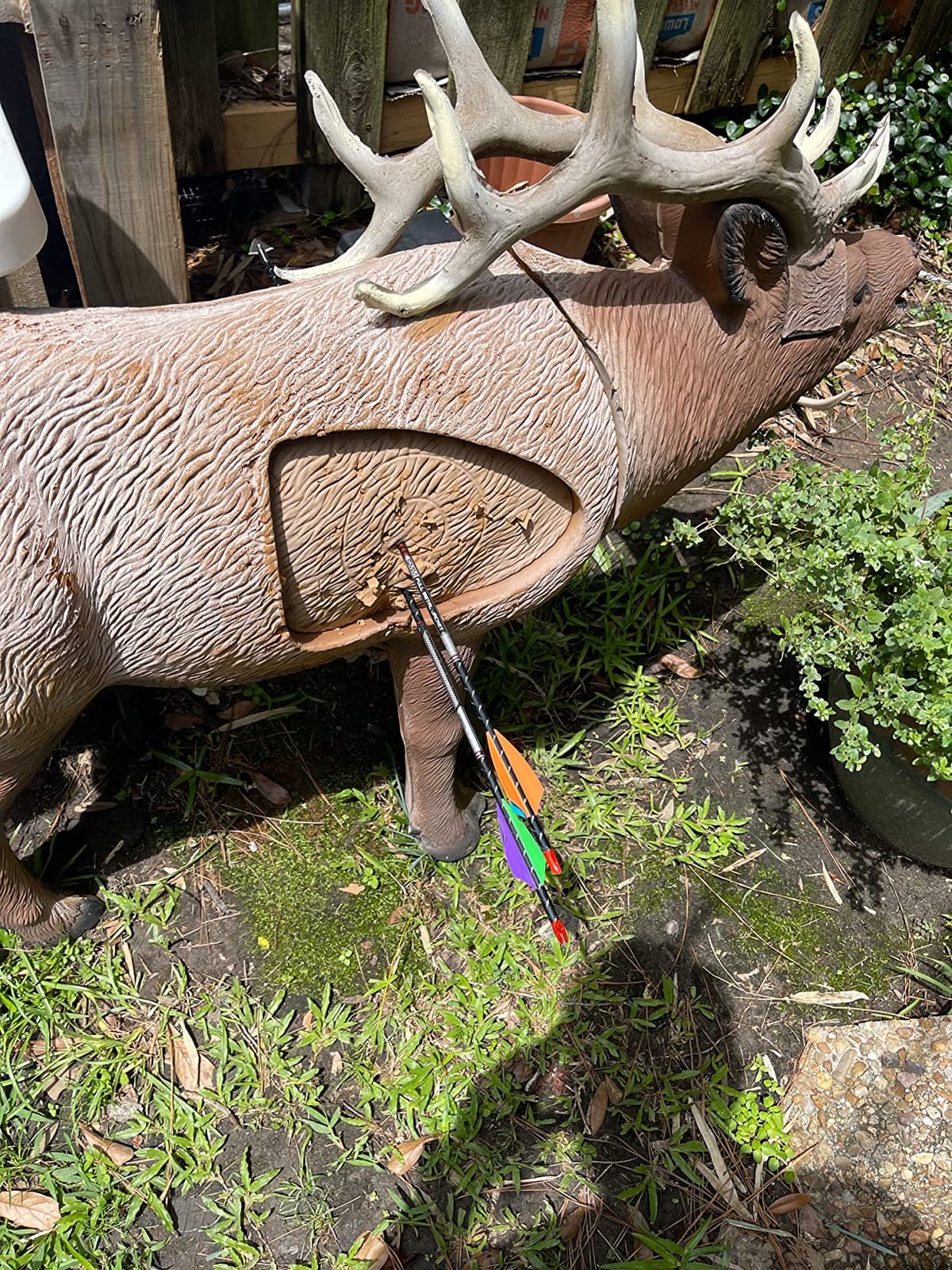 Rinehart 1/3 Scale Woodland Elk Target customer photo 2