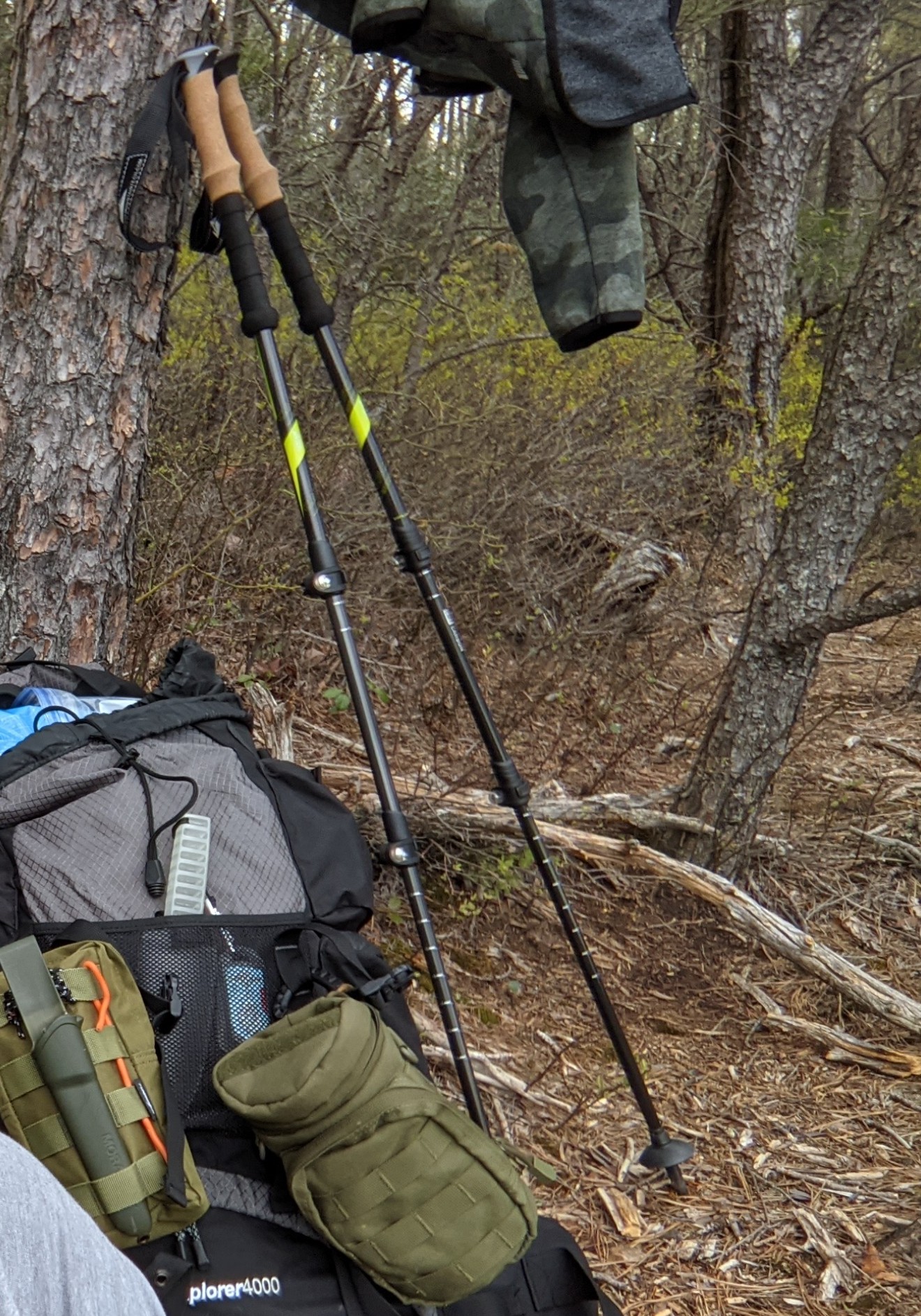 Cascade Mountain Tech Trekking Poles - Carbon Fiber Walking or Hiking Sticks with Quick Adjustable Locks customer photo 1