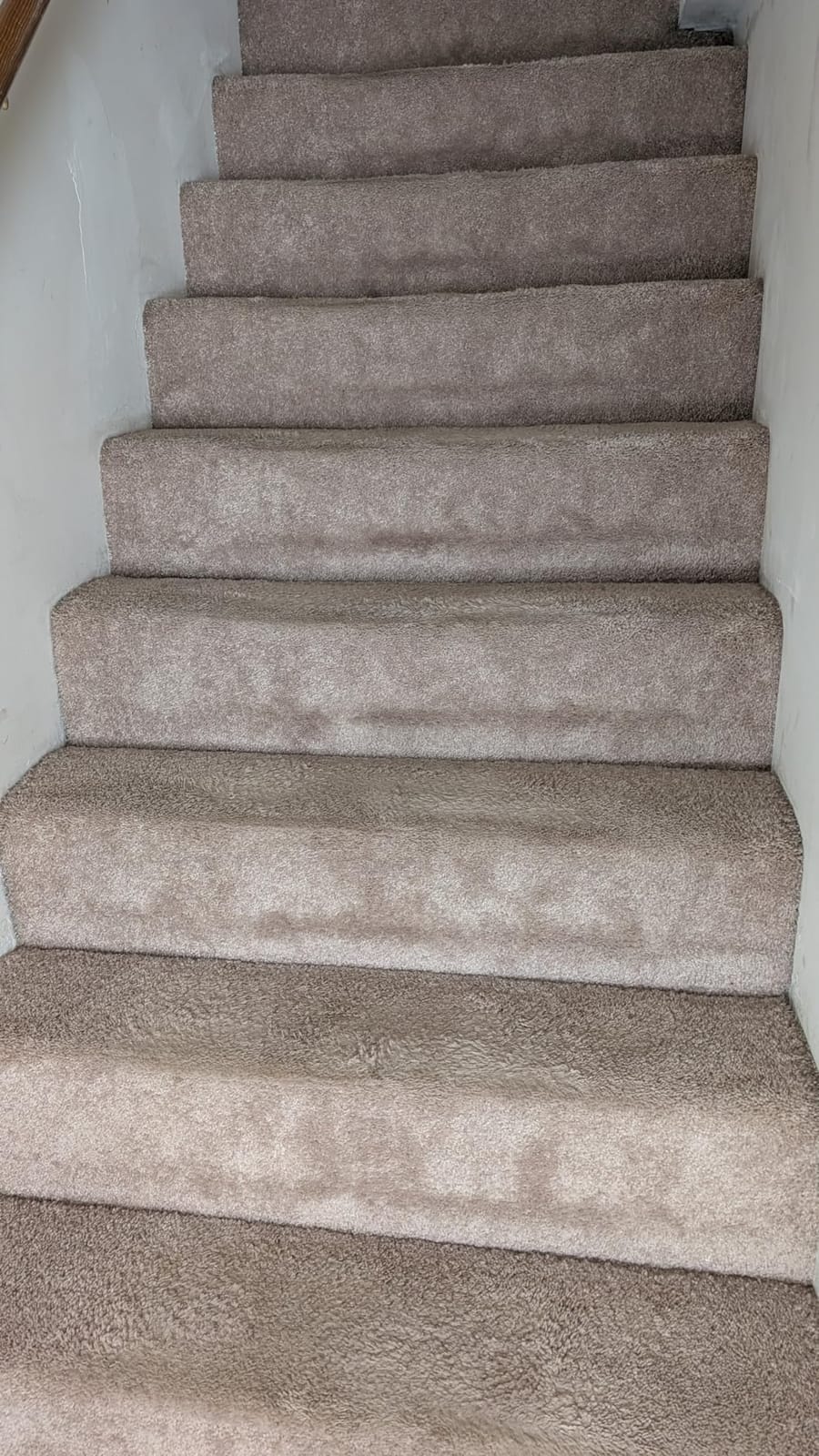 Shark Pet Cordless Stick Vacuum, Grey, IX141 customer photo 2