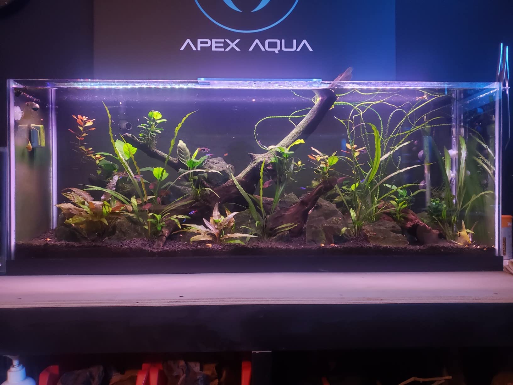 Finnex Planted Plus True 24/7 + HLC Aquarium LED Light, Automated Full Spectrum Fish Tank Light, True 660nm Deep Red Plant LEDs, 30 Inch, (HLC-30) customer photo 2