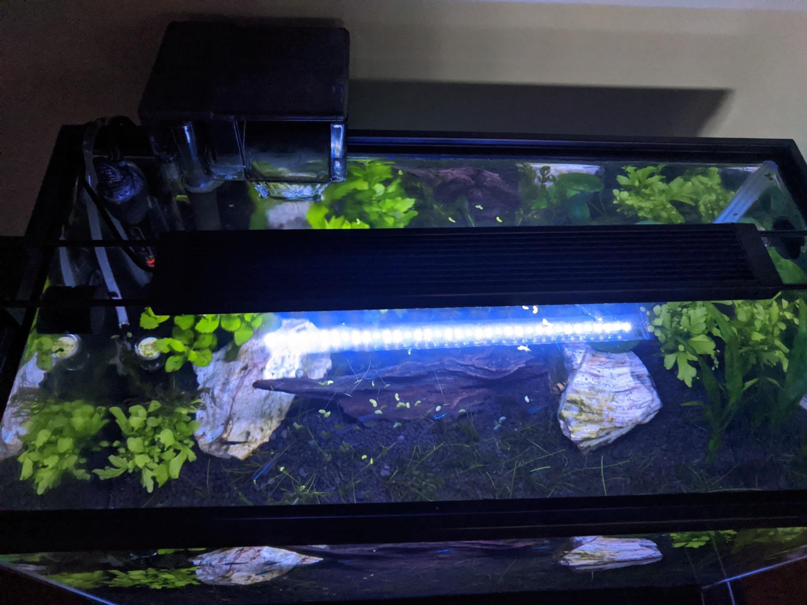 Fluval Aquasky 2.0 LED Aquarium Light - 12W, 15–24