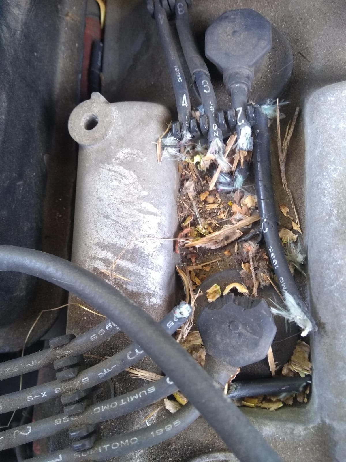 Battery Operated Ultrasonic Under Hood Rodent Repellent for Car Engines customer photo 1