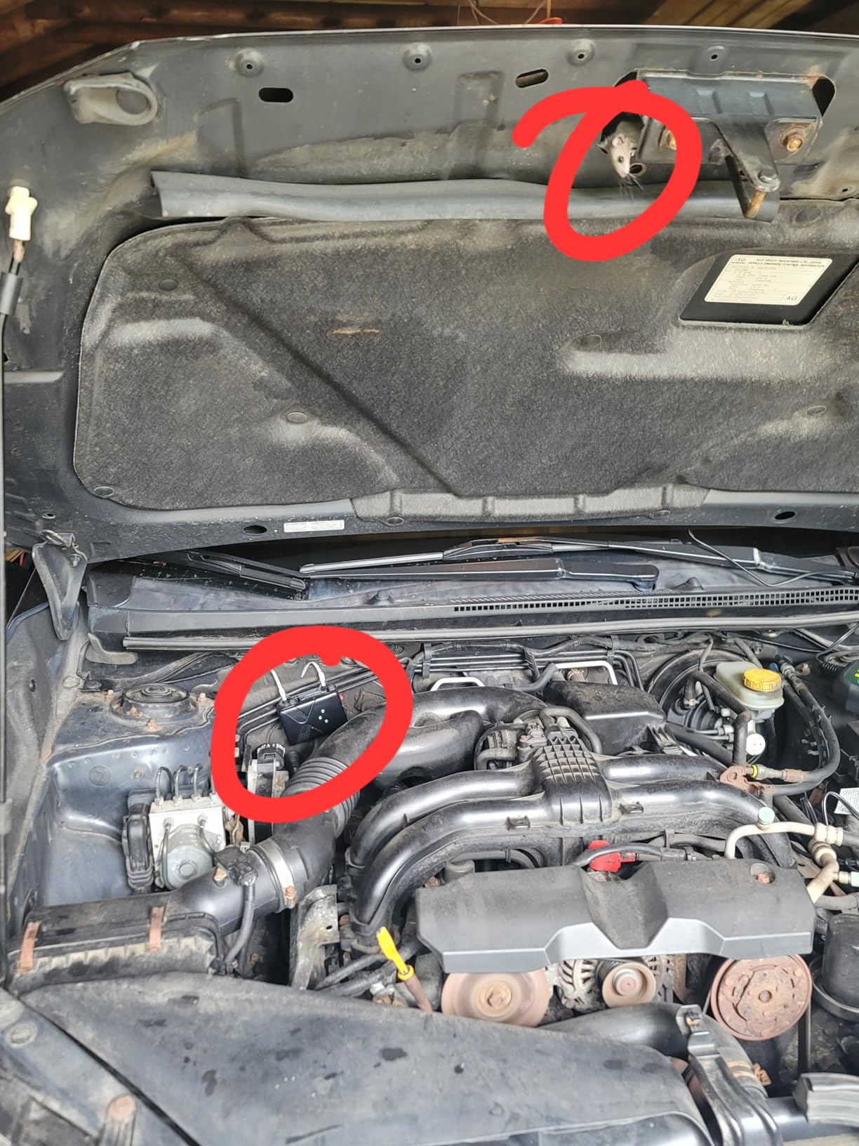 Battery Operated Ultrasonic Under Hood Rodent Repellent for Car Engines customer photo 2