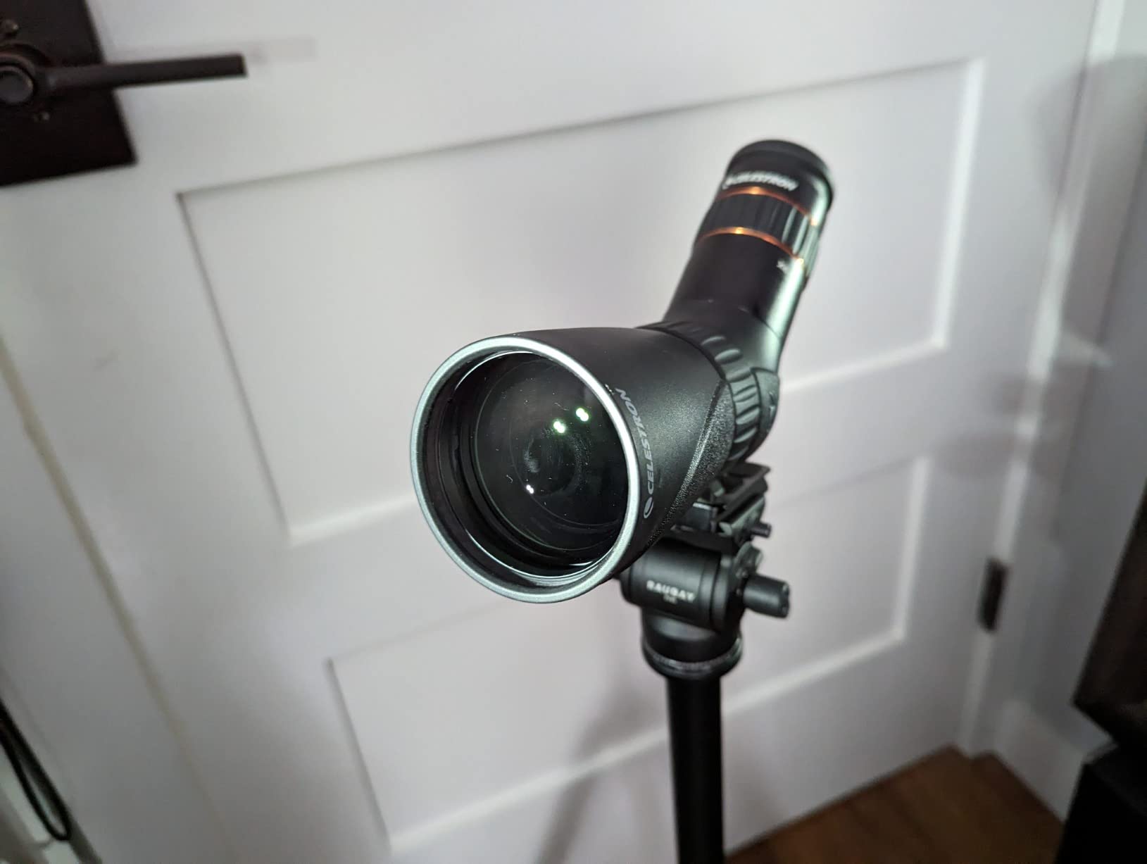 Celestron Hummingbird 56mm Angled Micro Spotting Scope – Ideal for Birding customer photo 2