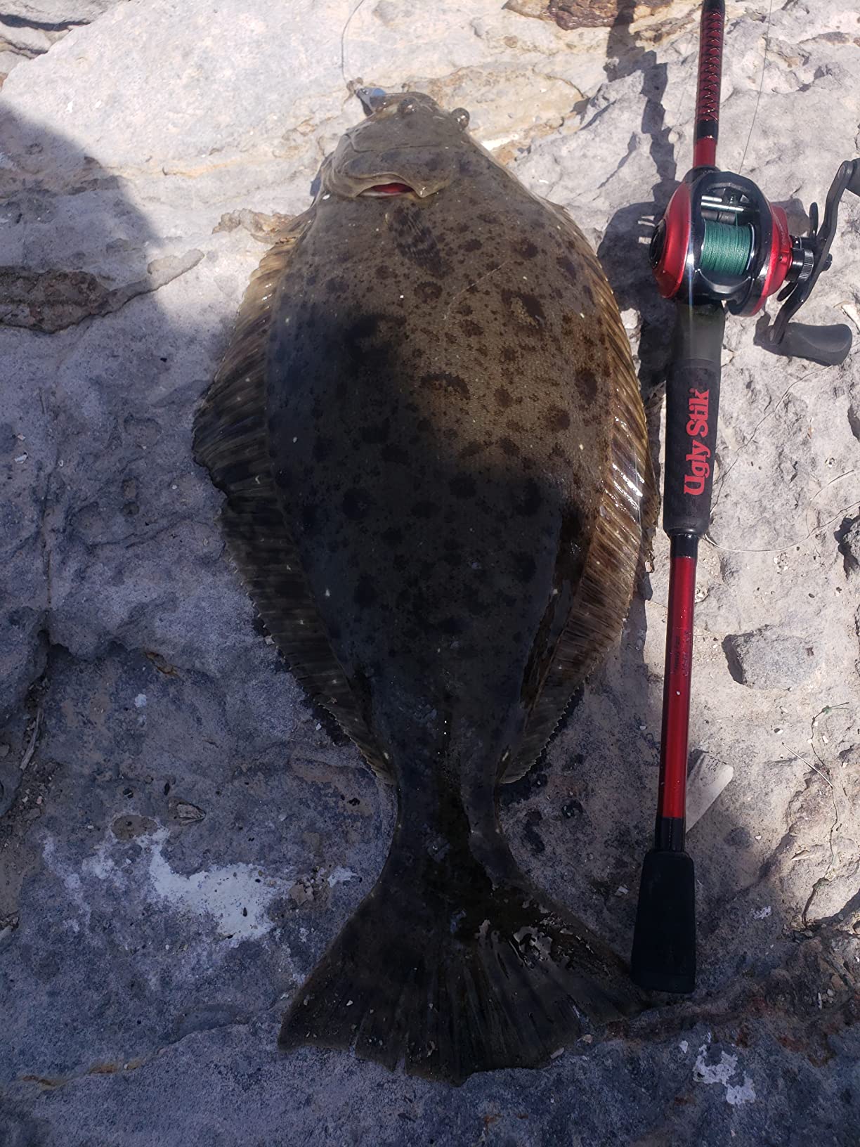 Ugly Stik Carbon Casting Fishing Rod customer photo 1