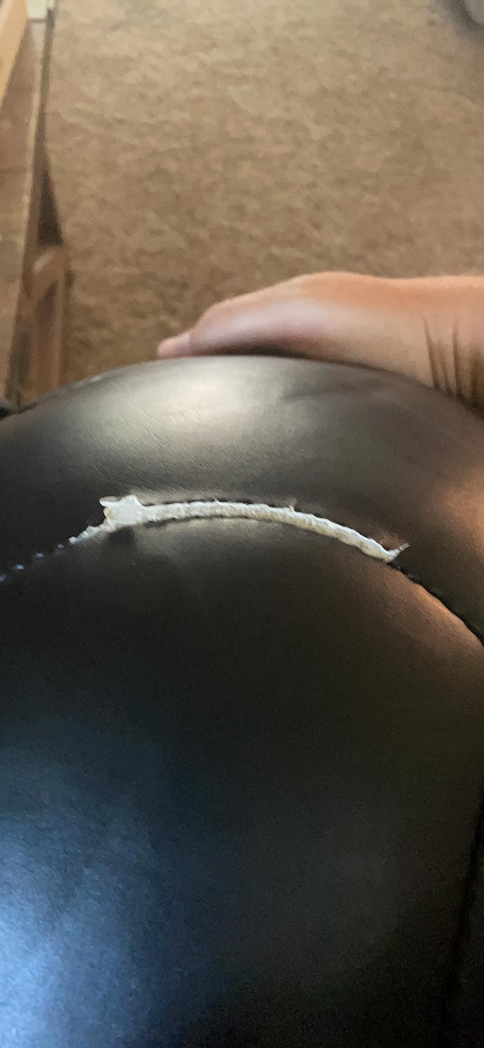 Champion Sports Rhino ProMax Elite Slam Ball customer photo 2
