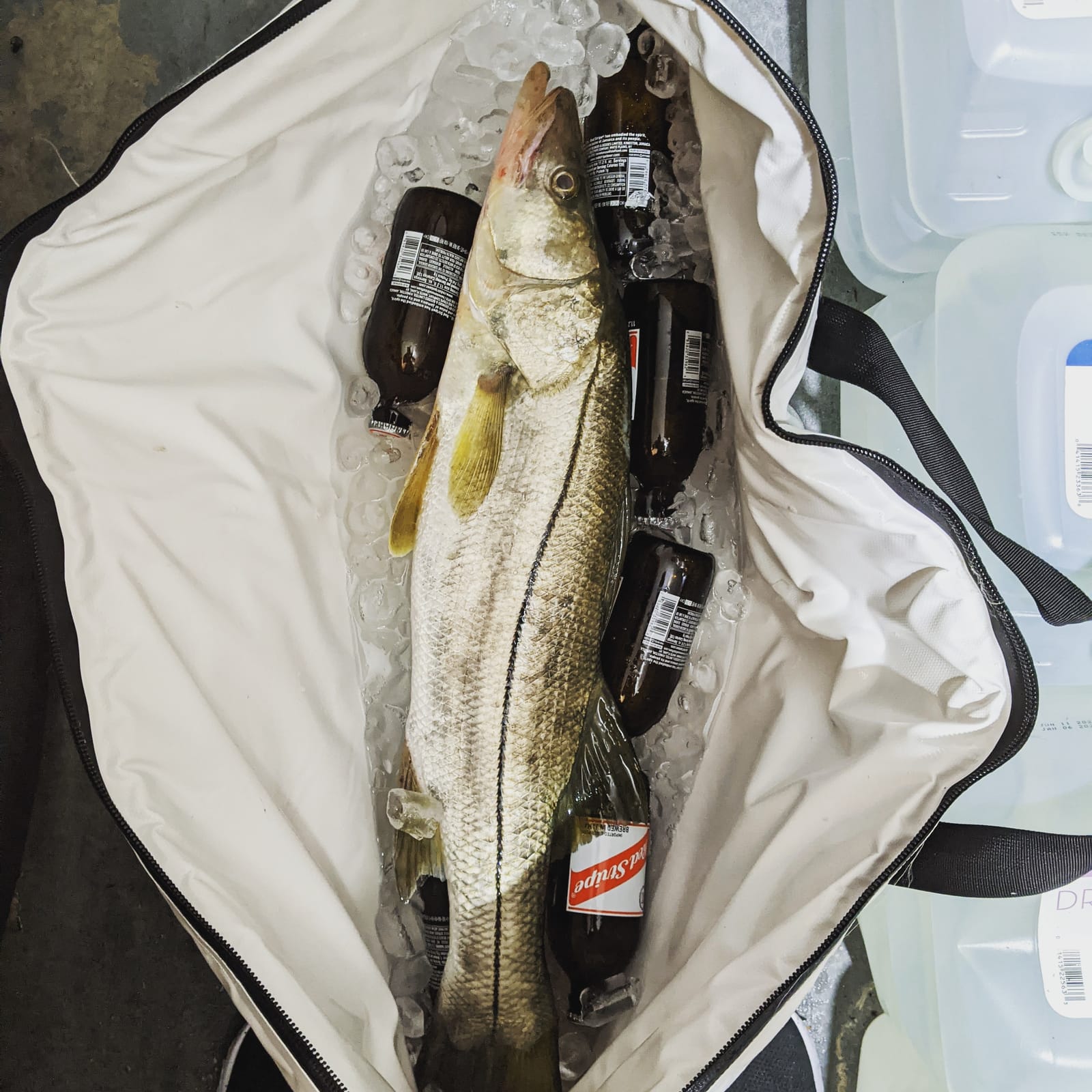 Buffalo Gear Insulated Fish Cooler Bag Portable Fish Kill Bag Keep Ice-cold More Than 48 Hours customer photo 2