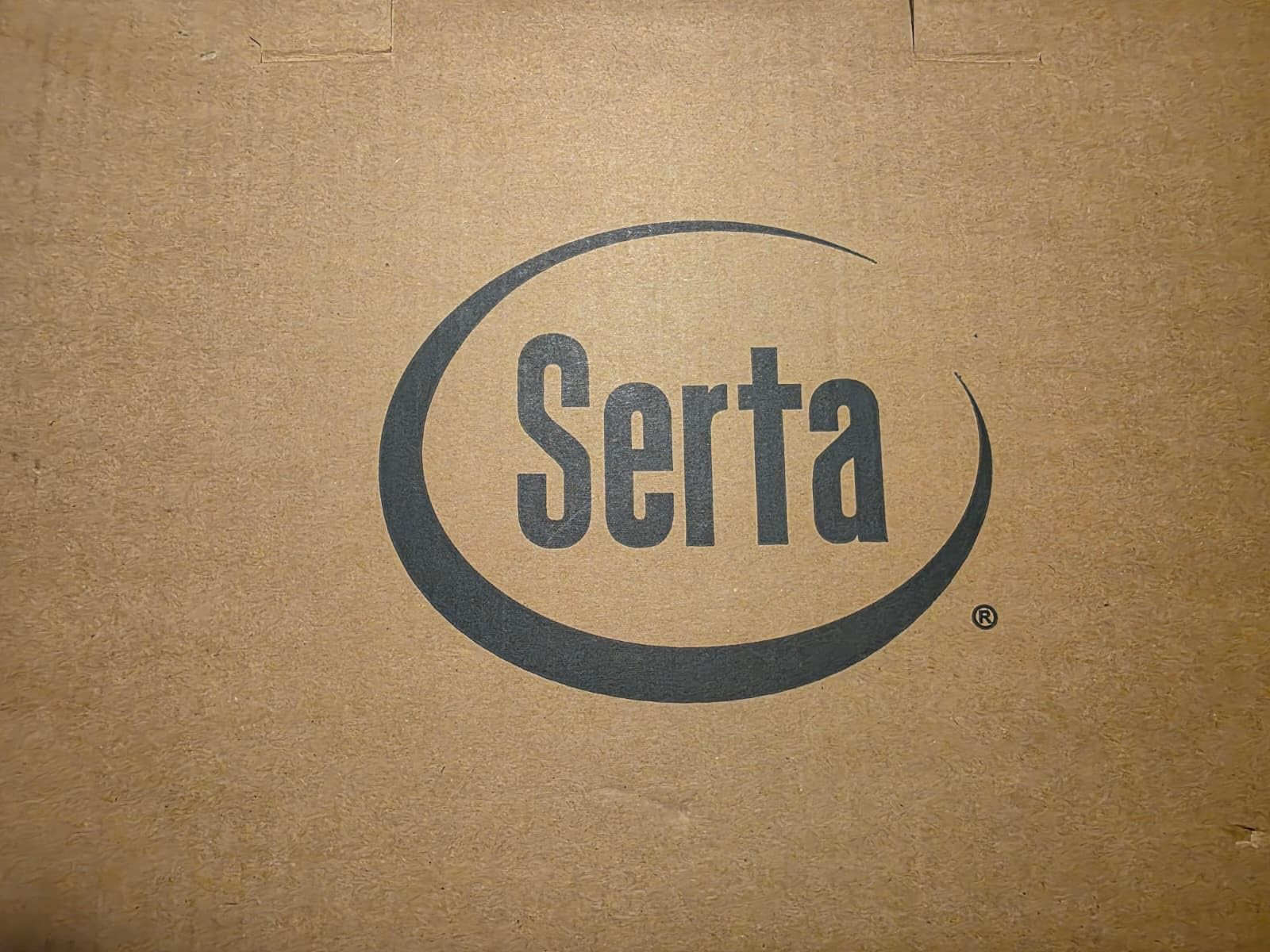 Serta Goose Feather Down Fiber Comforter Queen Size - 100% Cotton Cover Duvet Insert - Hotel Luxury Hypoallergenic Bedding Comforter Extra Warmth 90 x 90 Inch White customer photo 1
