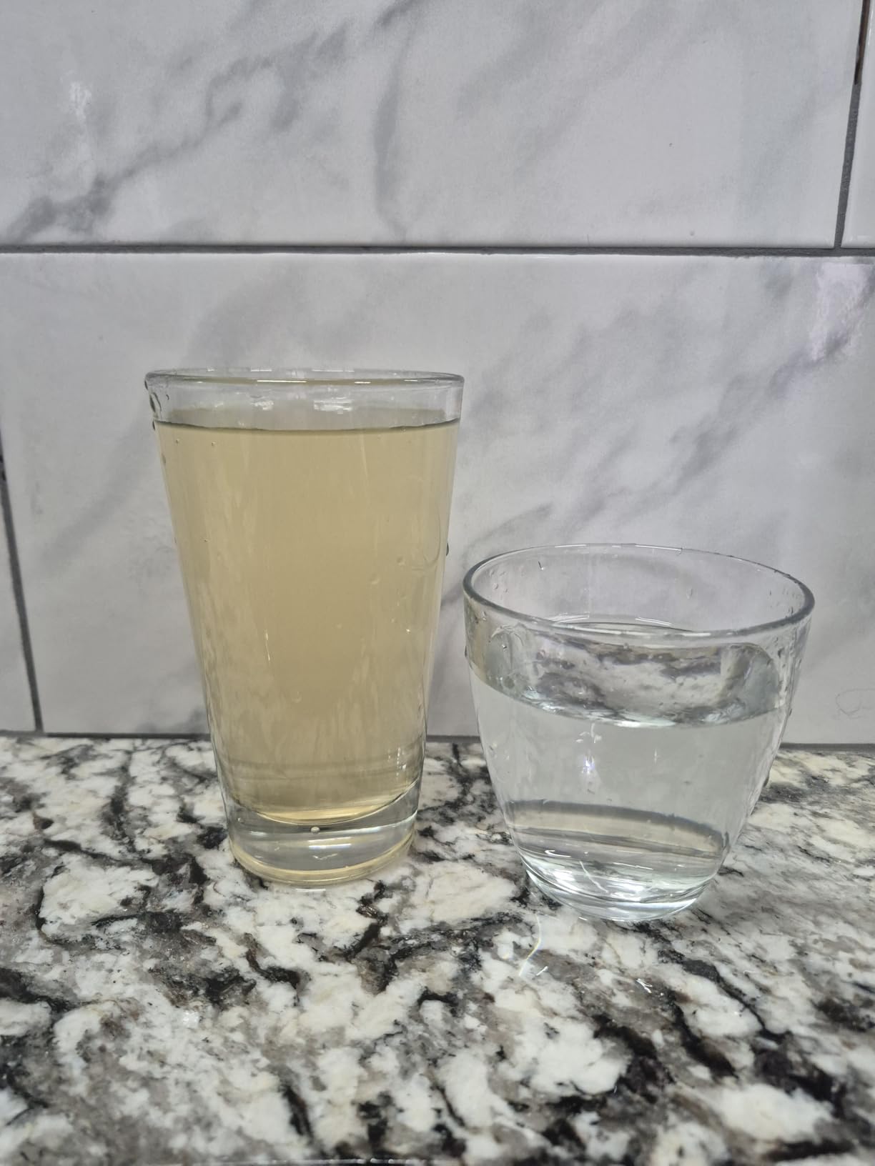 PRO+AQUA Heavy Duty Whole House Well Water Filter System customer photo 1