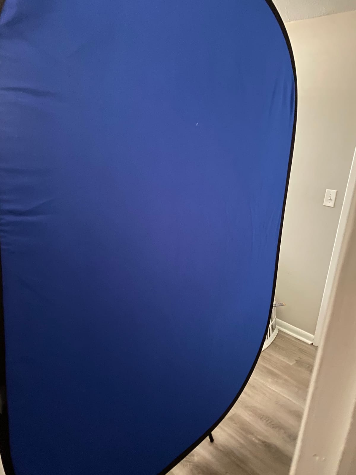 NEEWER 5x7ft/1.5x2m Chromakey Foldable Backdrop with Stand 8.5ft/2.6m customer photo 1