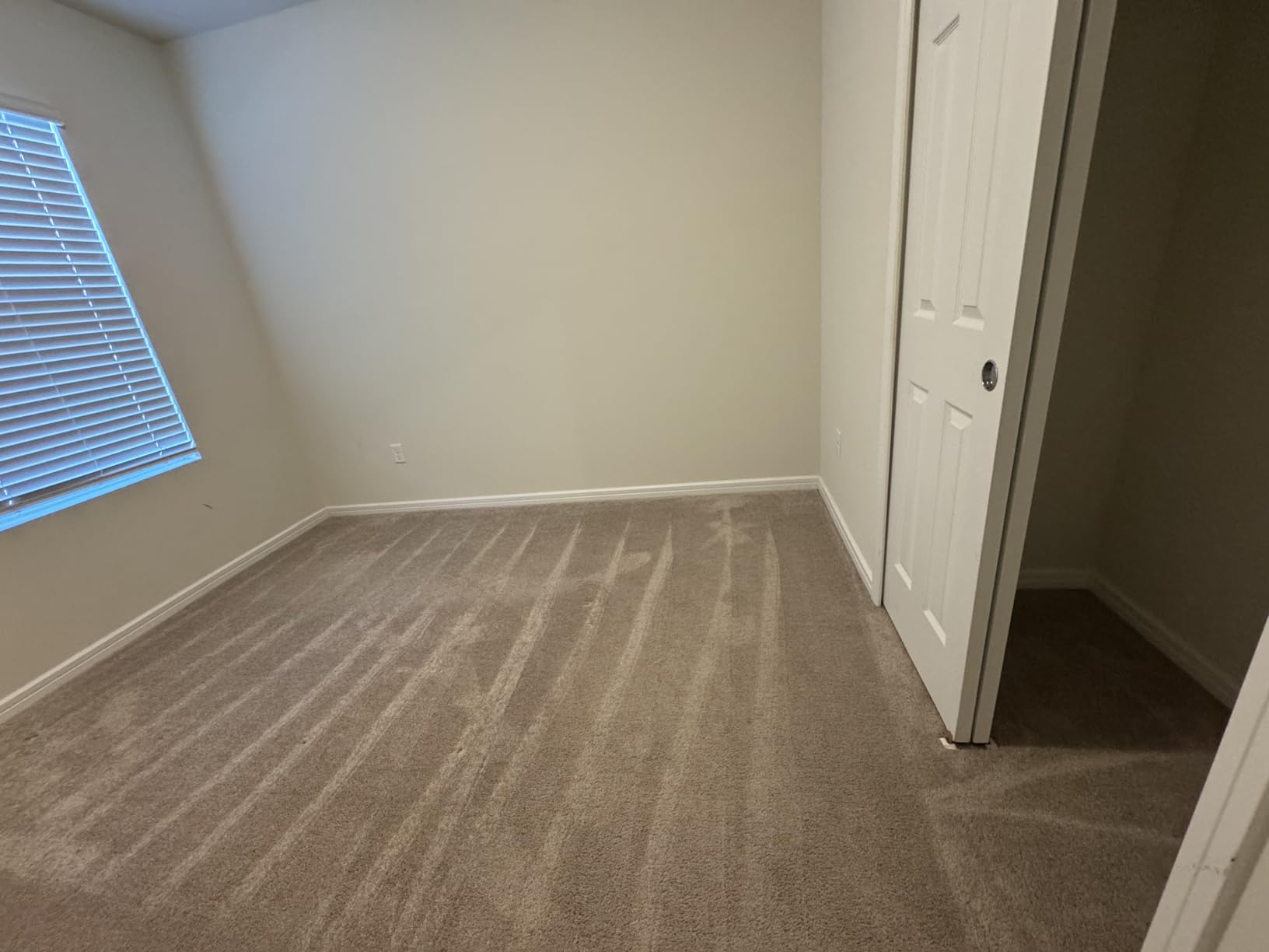 Rug Doctor Mighty Pro X3 Commercial Carpet Cleaner with Oxy Cleaner Pack | Includes 48 oz Oxy Carpet Cleaning Solution Removes Wine, Mud, Vomit, and other Tough Stains. customer photo 2