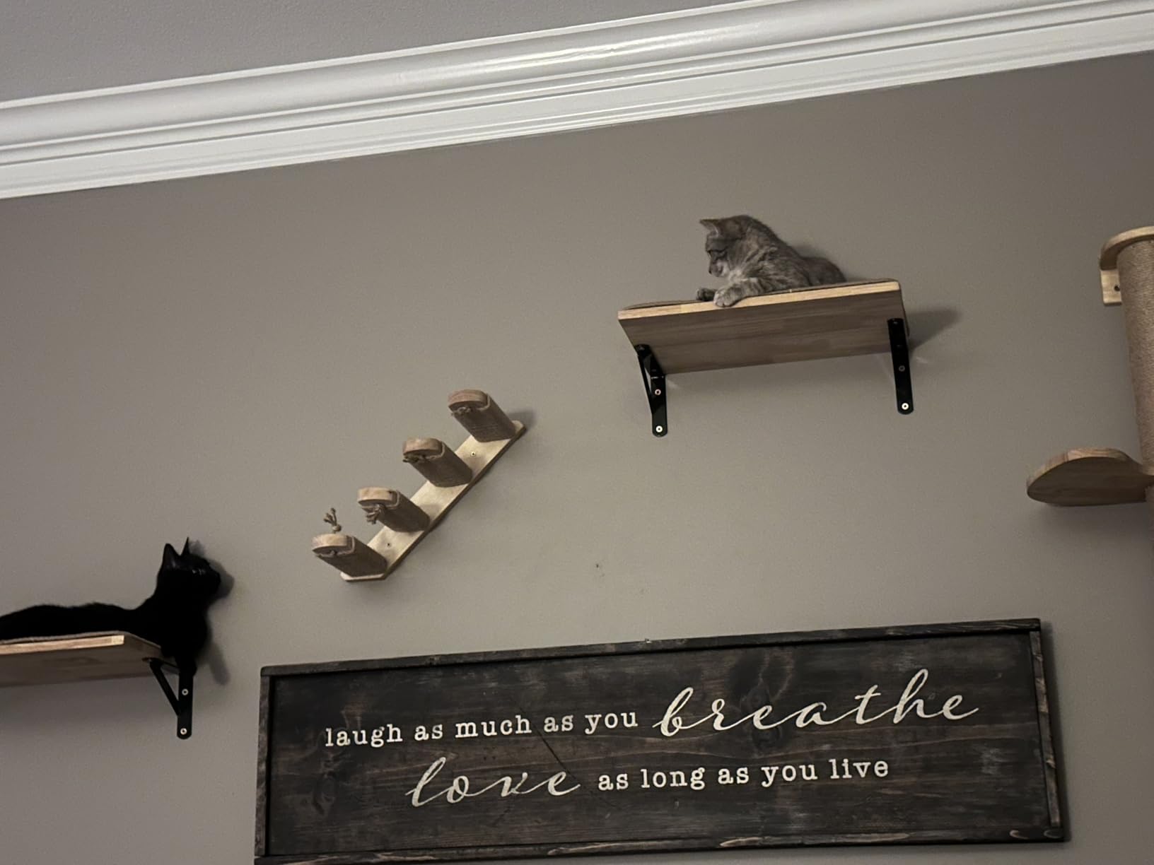 FUKUMARU Cat Climbing Shelf Wall Mounted, Small customer photo 1