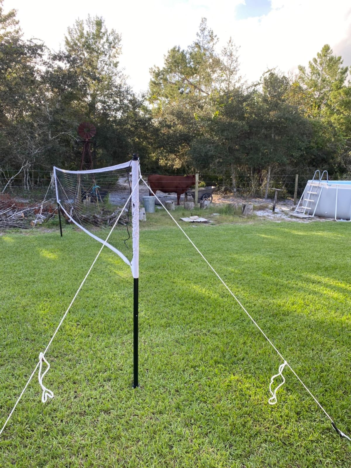 Professional Badminton Set with Net, Carbon Fiber Rackets Set of 4 | Anti-Sag Crank Tension System, Portable Set with 4 Rackets, 4 Shuttlecocks, Boundary Lines, Carry Bag for Backyard Games customer photo 2