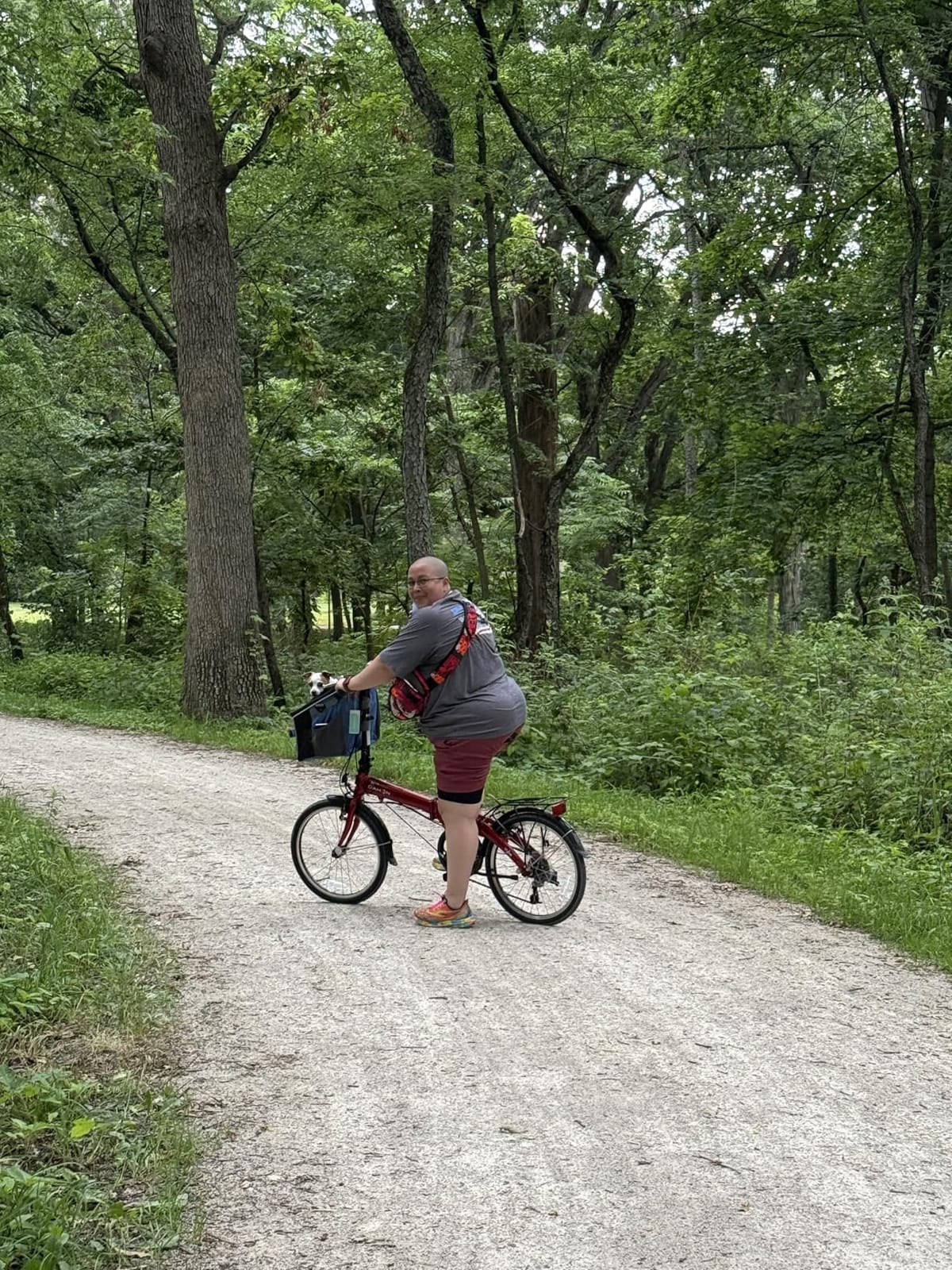 Dahon VYBE D7 Folding Bike, Lightweight Aluminum Frame; 7-Speed Shimano Gears; 20” Foldable Bicycle for Adults customer photo 1