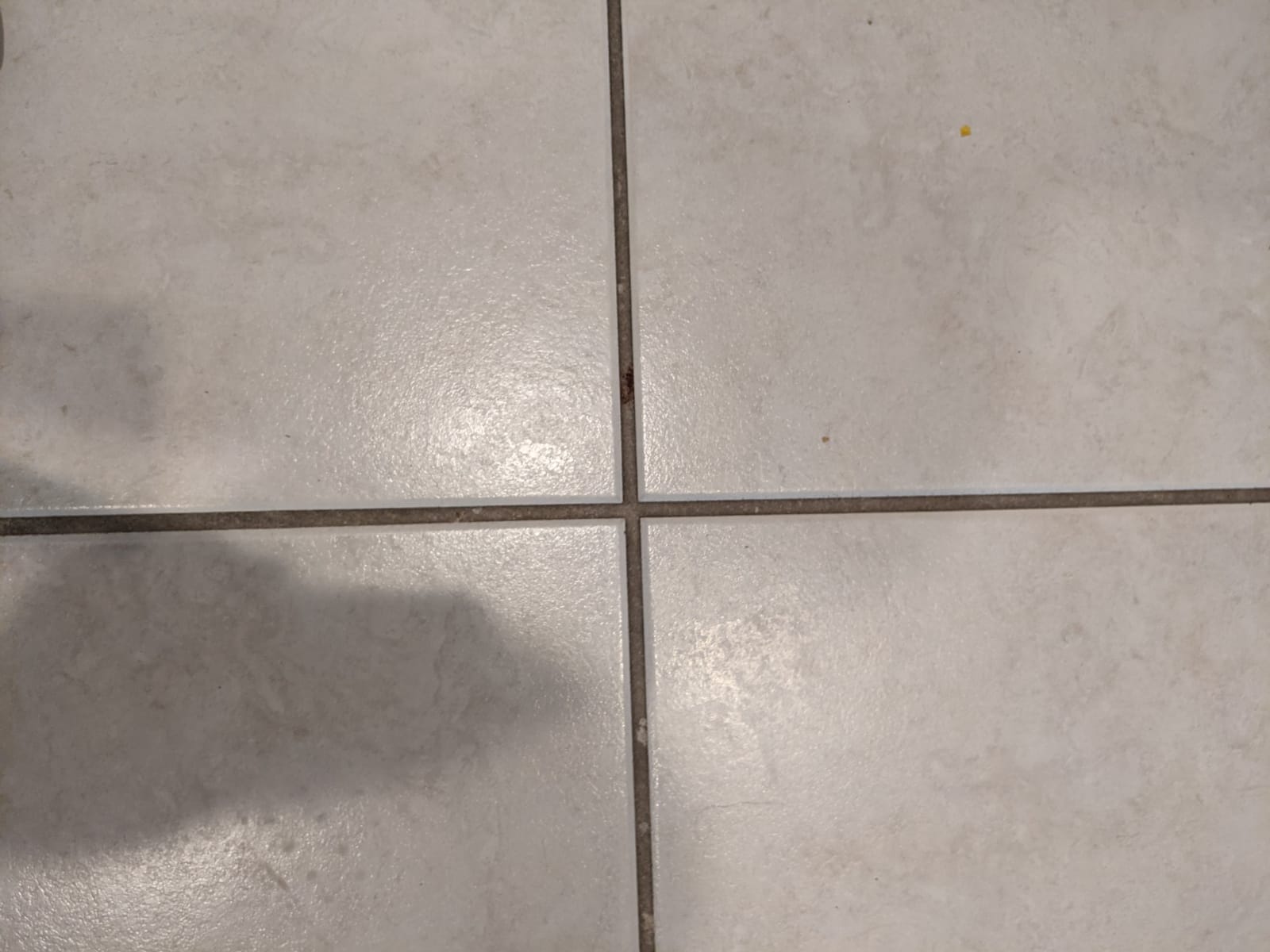 Electric Grout Cleaner | Stand Up Tile Grout Scrubber Bundle | 20' Cord customer photo 2