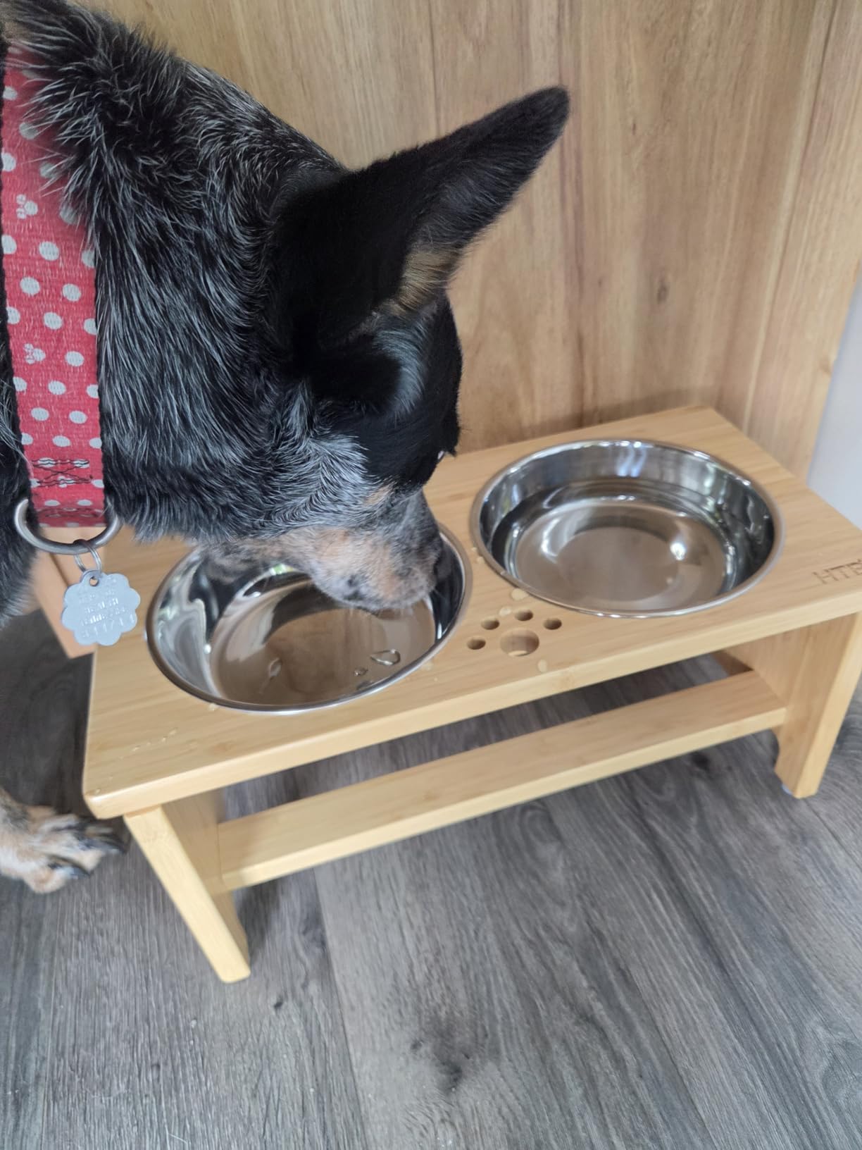 HTB Elevated Dog Bowls,Raised Dog Bowl Stand with 2 Stainless Steel Bowls,Elevated Raised Dog Bowls for Large Medium Small Sized Dogs customer photo 2