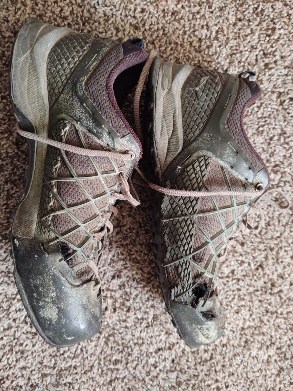 Salewa Men's Wildfire GTX Approach Shoes customer photo 2