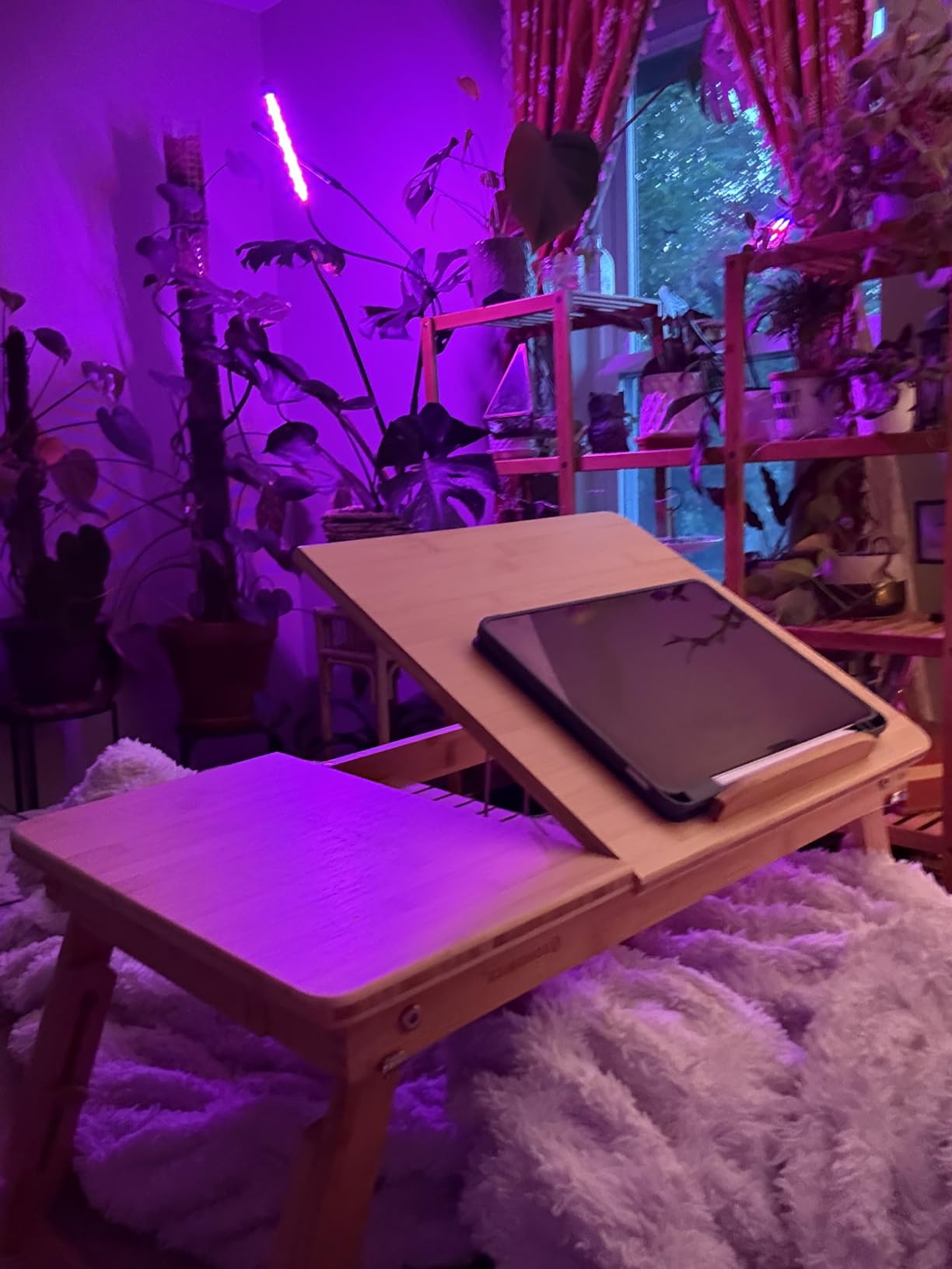 SONGMICS Bed Laptop Desk, Folding Bed Table Adjustable Angle and Height customer photo 1