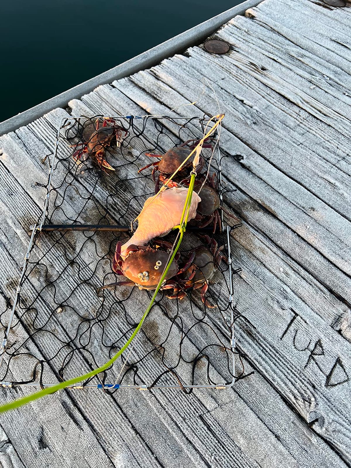 AirFly Crab Trap for Pier, Dock & Jetty - Collapsible Castable Crab Net with Bait Clip - Saltwater Crabbing Gear for Blue Crab, Dungeness & Rock Crab - Designed in USA customer photo 2