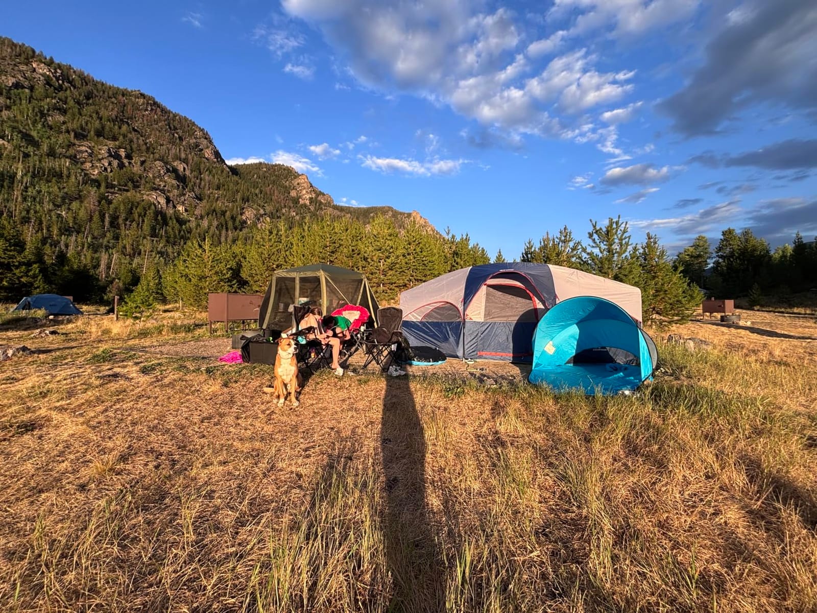 CAMPROS CP 8 Person Camping Tent, Room Divider, Rainfly, Weather Resistant | Family tent with 5 large mesh windows, double-layer design, and a carry bag, 14' x 9' x 72