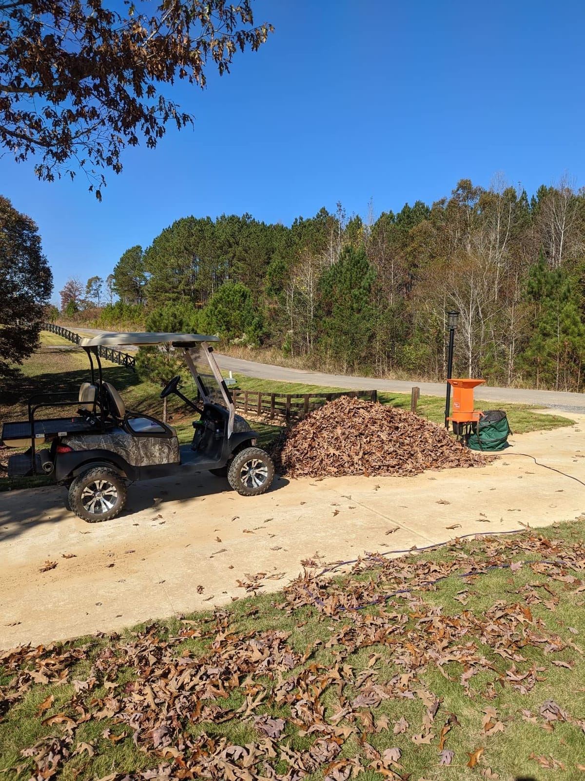 SuperHandy Electric Leaf Mulcher Shredder, Yard Waste, Leaf Shredder customer photo 1