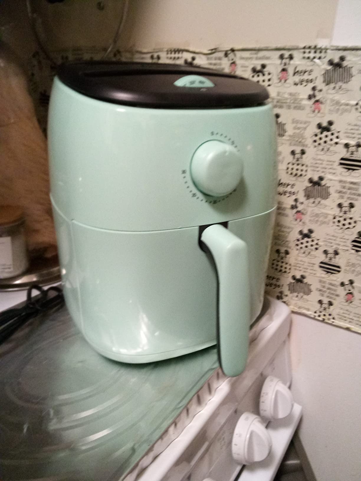 Dash Tasti-Crisp Small Air Fryer, 2.6 Quart, 1-2 People, Teal customer photo 1