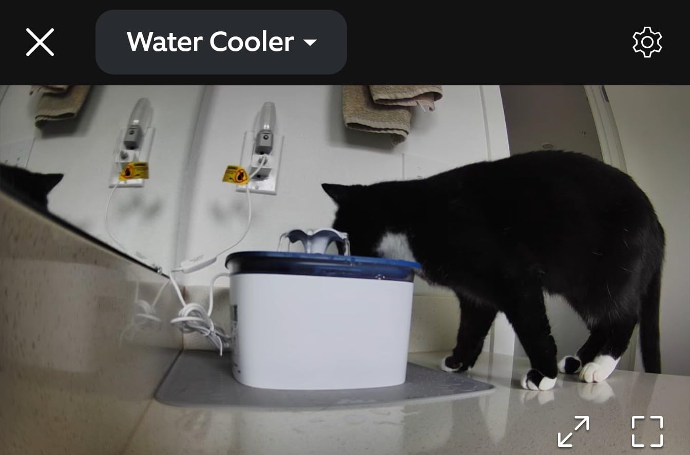 Veken Innovation Award Winner 95oz/2.8L Cat Water Fountain | Automatic Pet Fountain Dog Water Dispenser with Replacement Filters & Silicone Mat, Gift for Cats, Dogs (Grey, Plastic) customer photo 1