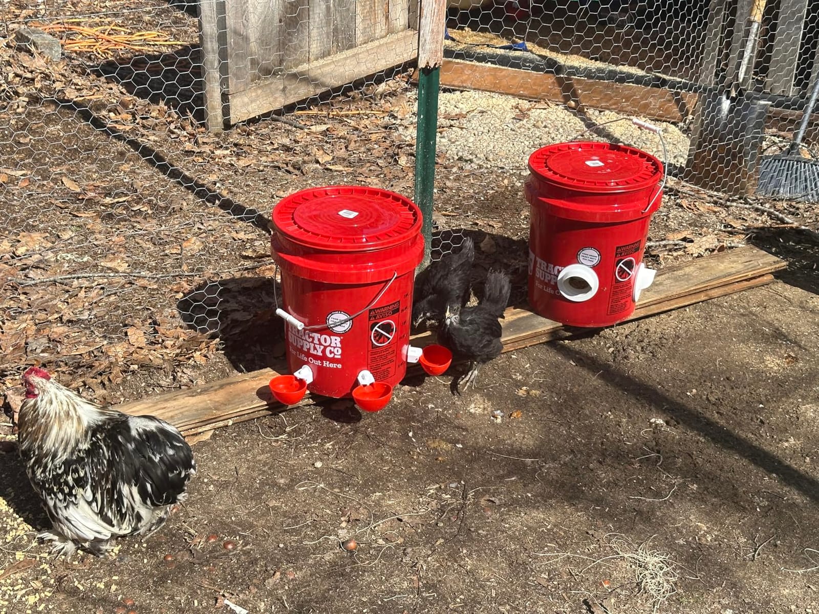 Poultry Pro DIY Chicken Feeder Kit, Weatherproof, 3 Ports & Hole Saw customer photo 2