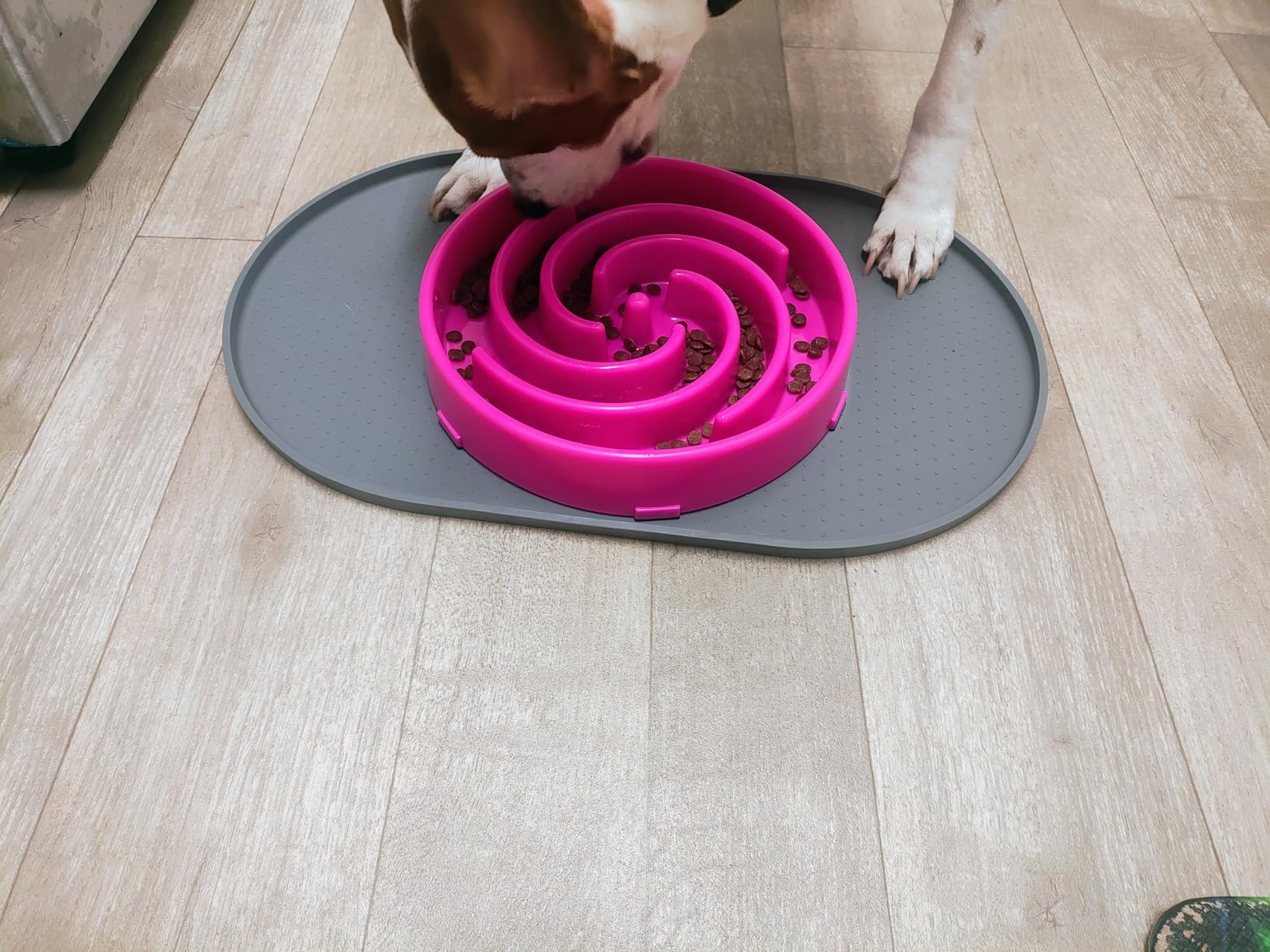 JASGOOD Slow Feeder Dogs Bowl for Large Medium Dogs,Anti-Gulping Pet Slower Food Feeding Bowls Stop Bloat,Preventing Choking customer photo 1