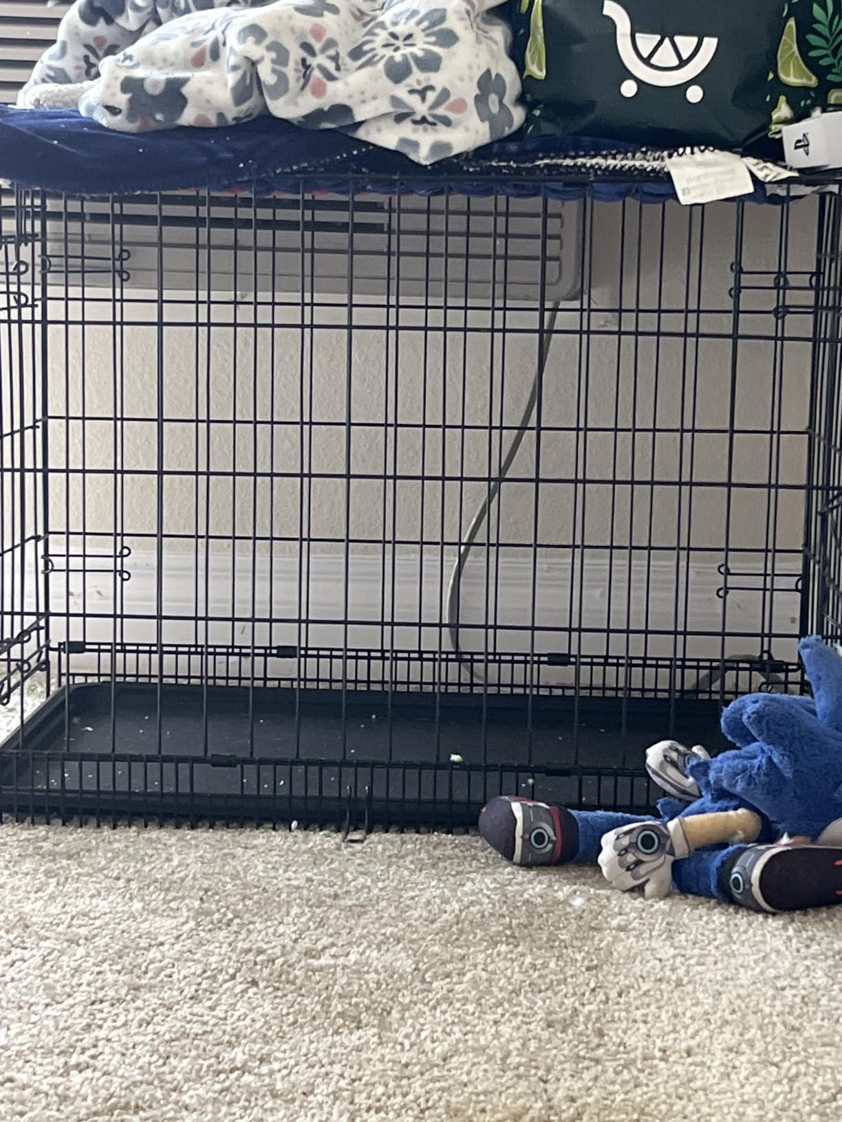 Amazon Basics Portable, Foldable Metal Wire Small Dog Crate with Removable Tray, Divider Panel, Single Door, Easy to Assemble, 24