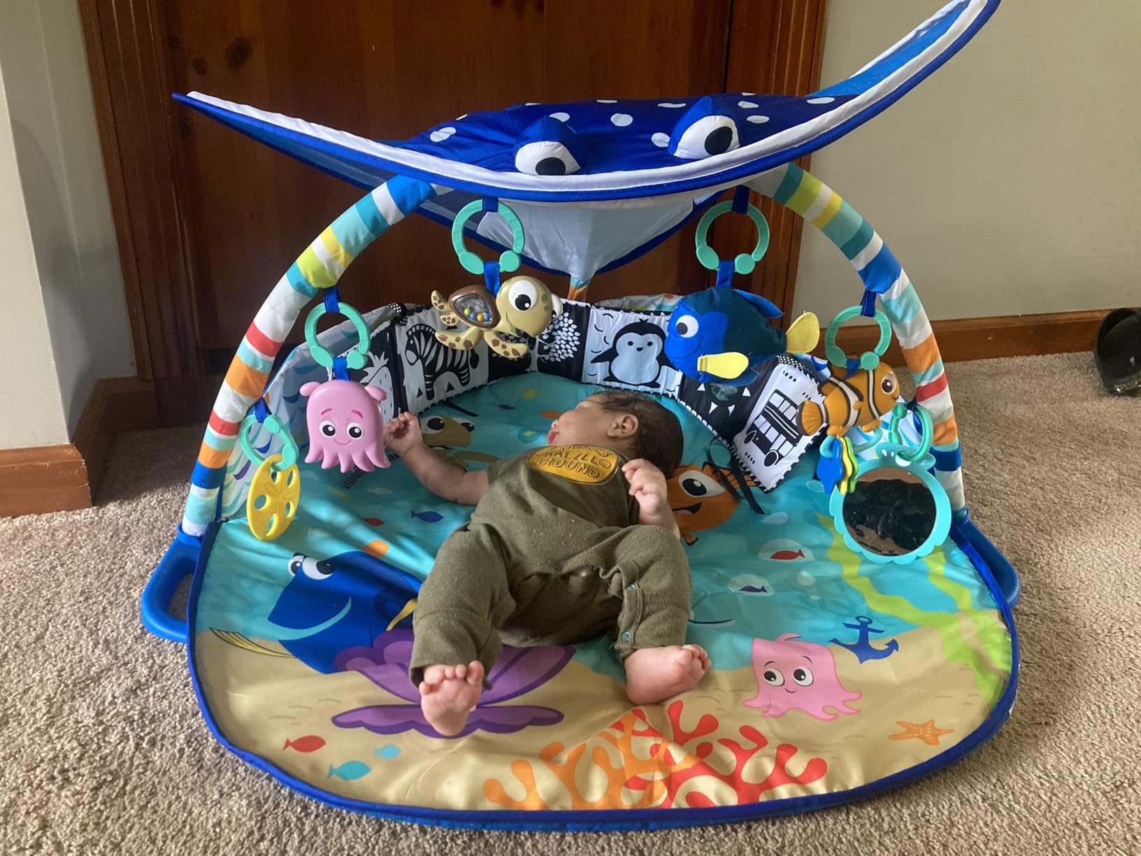 Bright Starts Disney Baby The Little Mermaid Twinkle Trove Light-Up Musical Baby Activity Gym with Tummy Time Pillow, Newborn+ customer photo 1