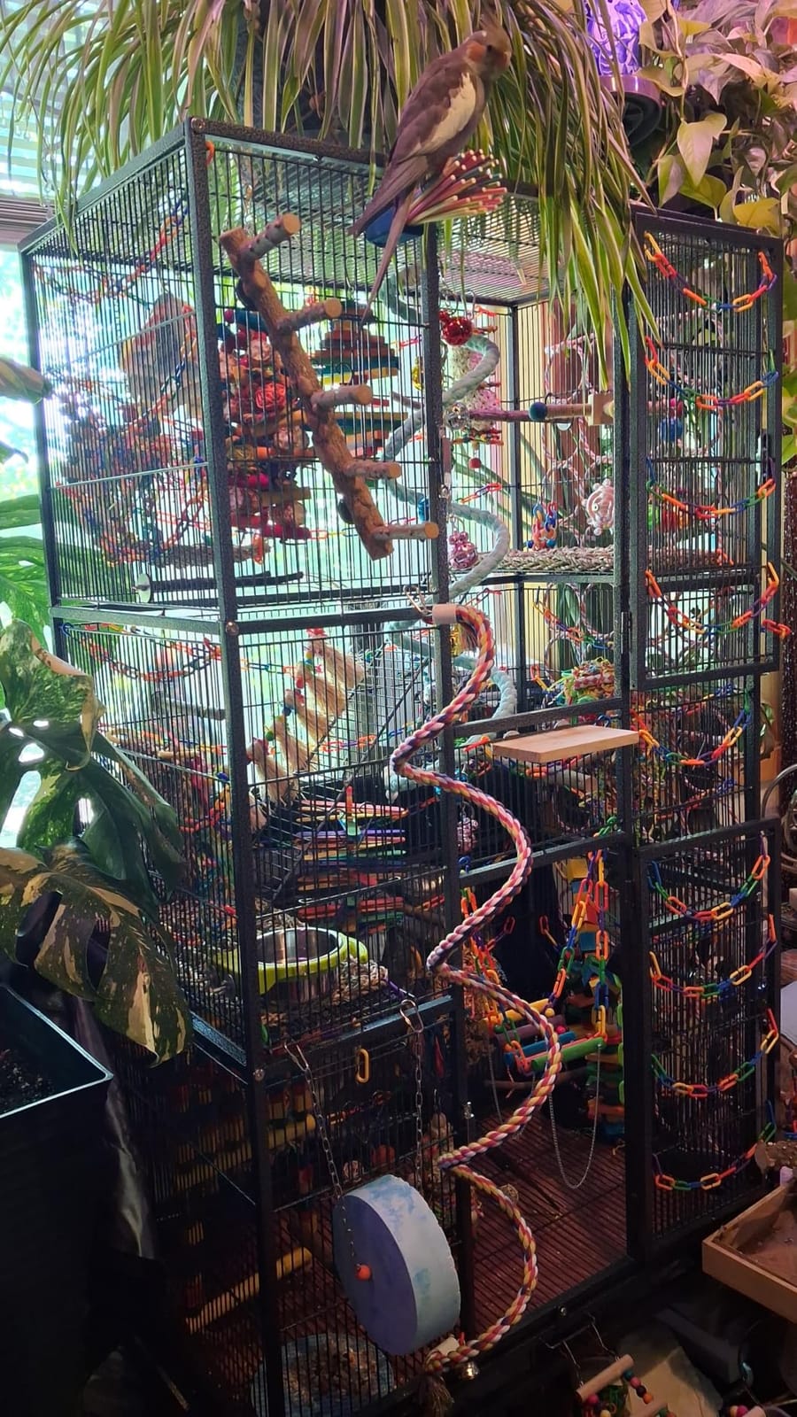 Yaheetech 69'' Extra Large Bird Cage Metal Parrot Cage w/Detachable Stand for Mid-Sized Parrots Cockatiels Conures Parakeets Lovebirds Budgie Finch, White customer photo 2