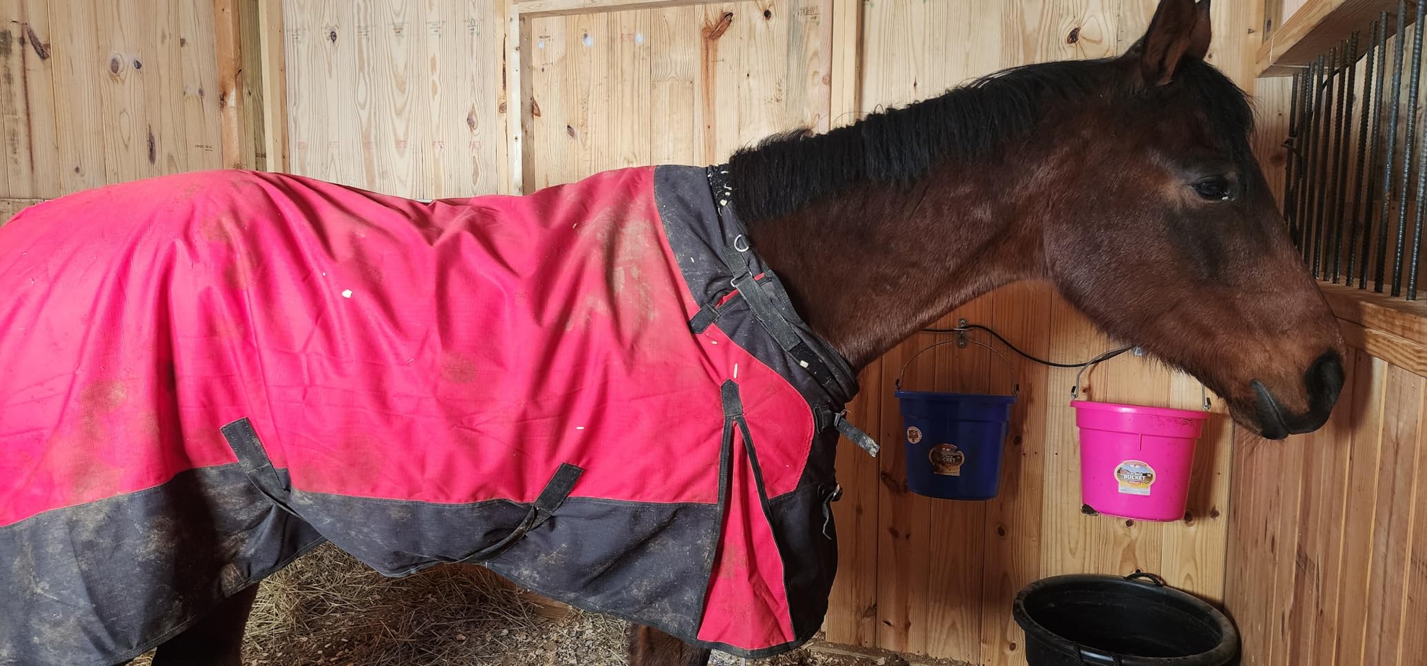 1200D Horse Turnout Blanket Waterproof, Breathable, Heavy-Weight Winter Blanket with 300g Fill, Ripstop Outer Shell customer photo 2