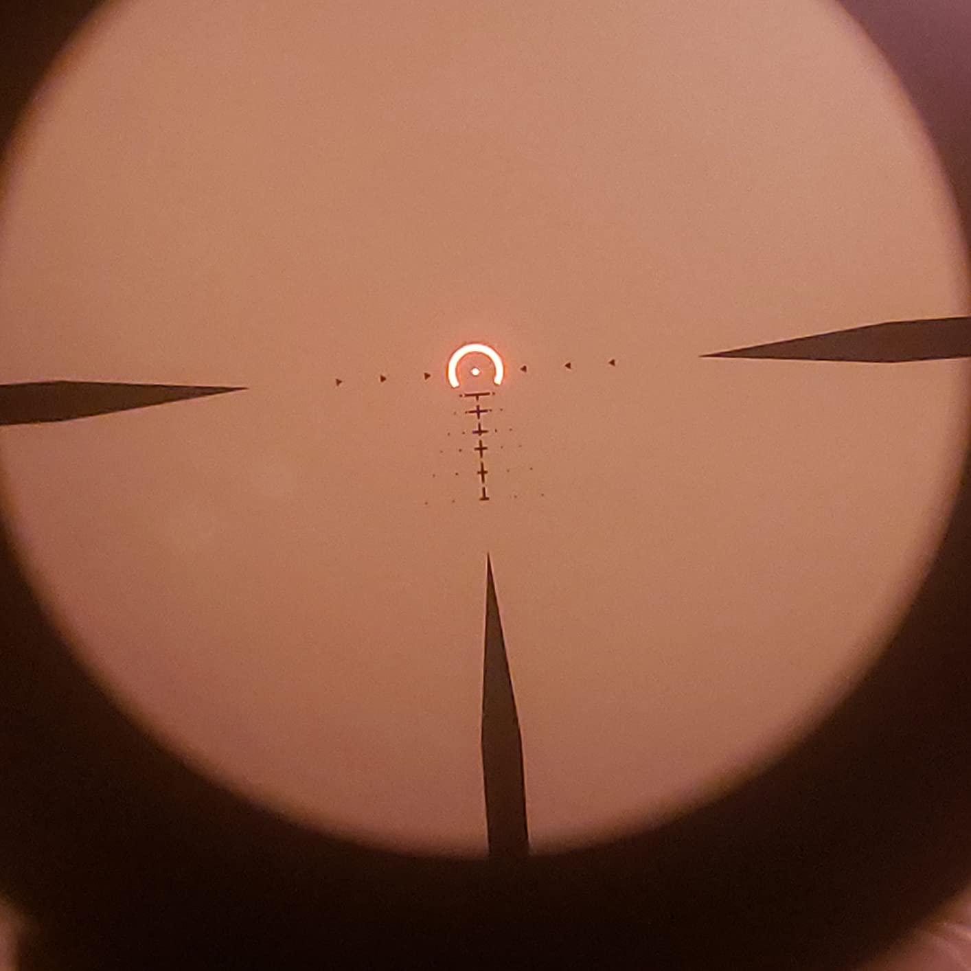 SIG SAUER Tango-MSR LPVO 1-6x24mm Waterproof Fogproof Hunting Riflescope customer photo 1