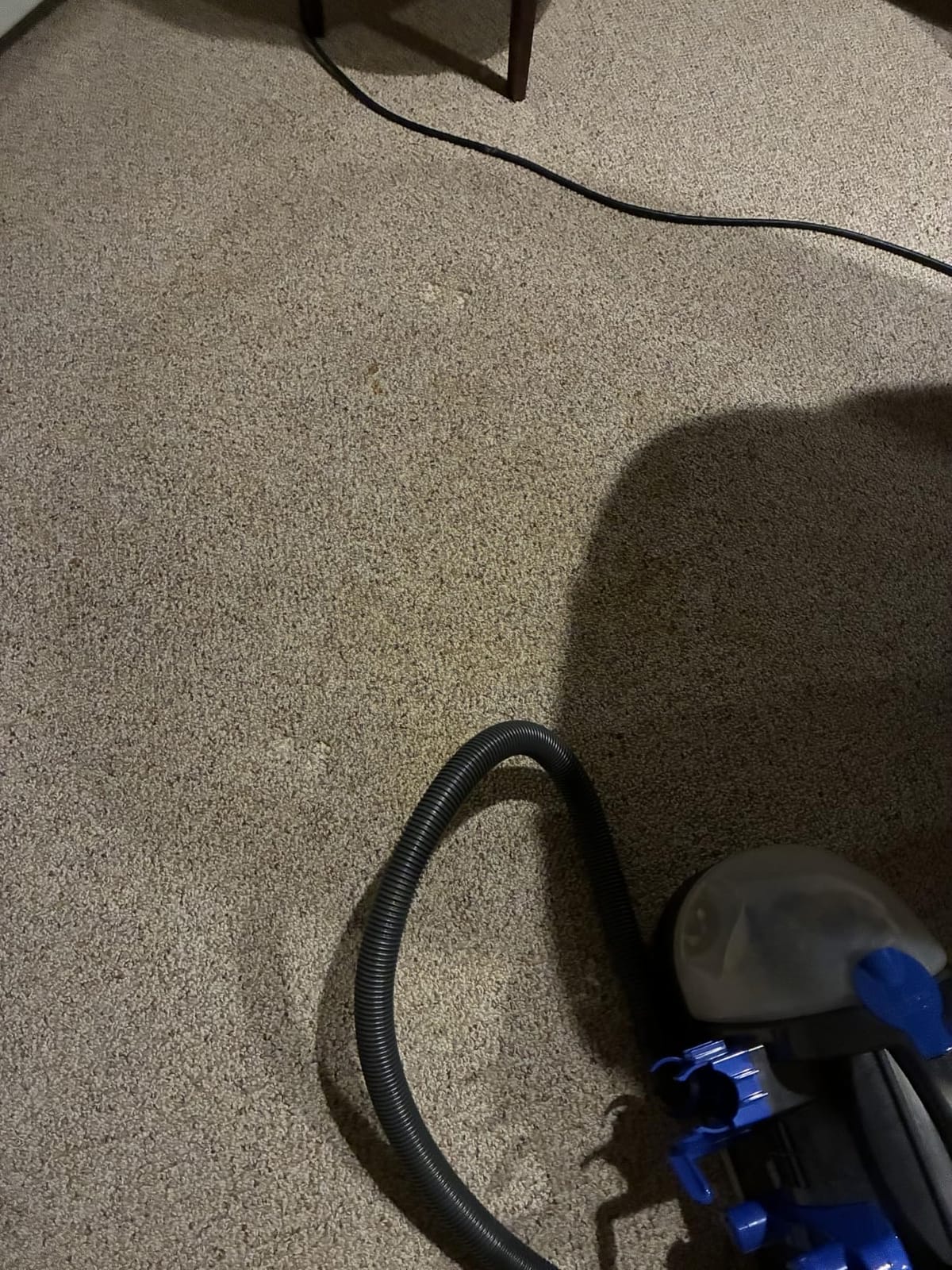 BISSELL Little Green Pet Deluxe Portable Carpet Cleaner, 3353 customer photo 1