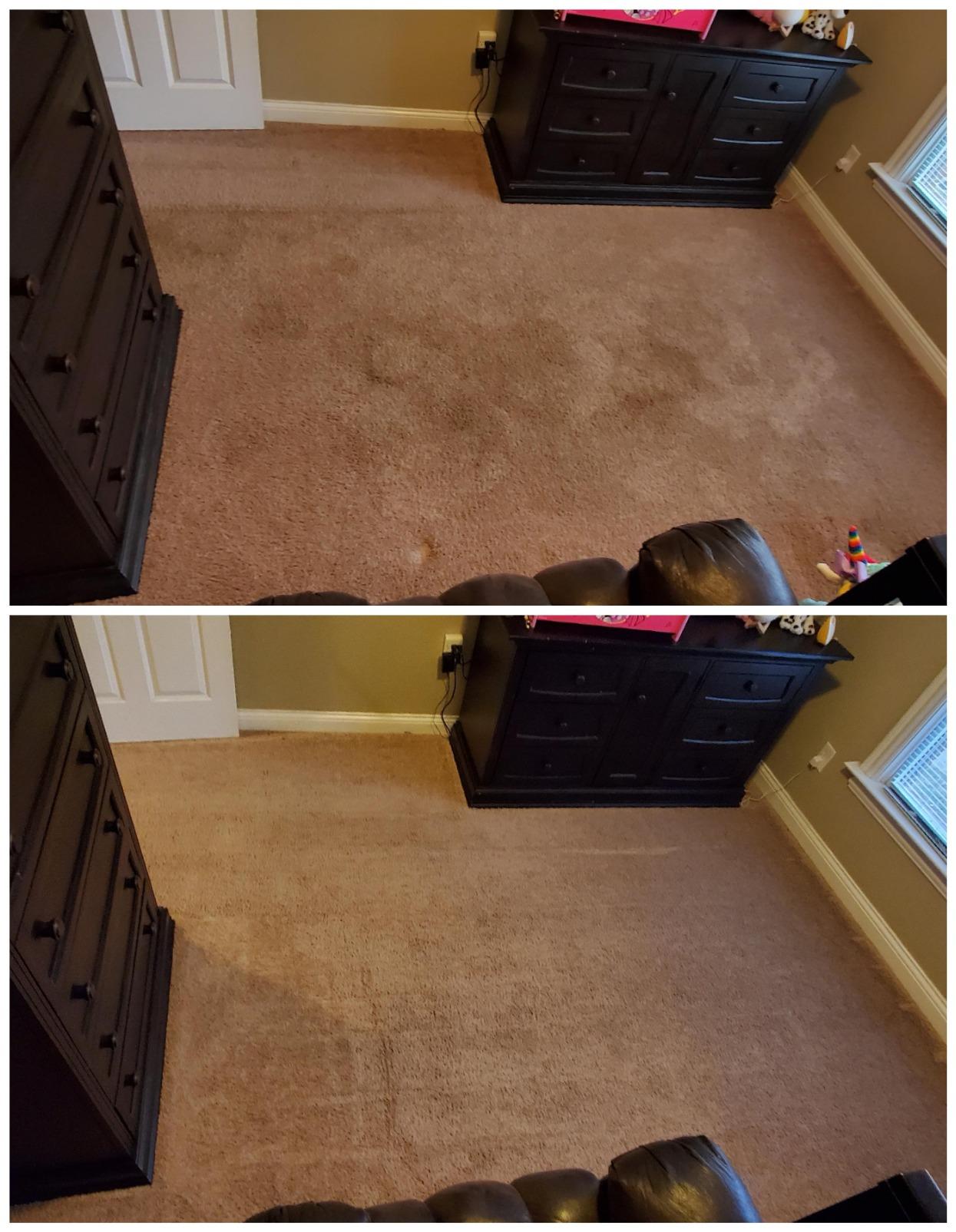 BISSELL Big Green PET PRO Carpet Cleaner, XL DirtLifter PowerBrush customer photo 2