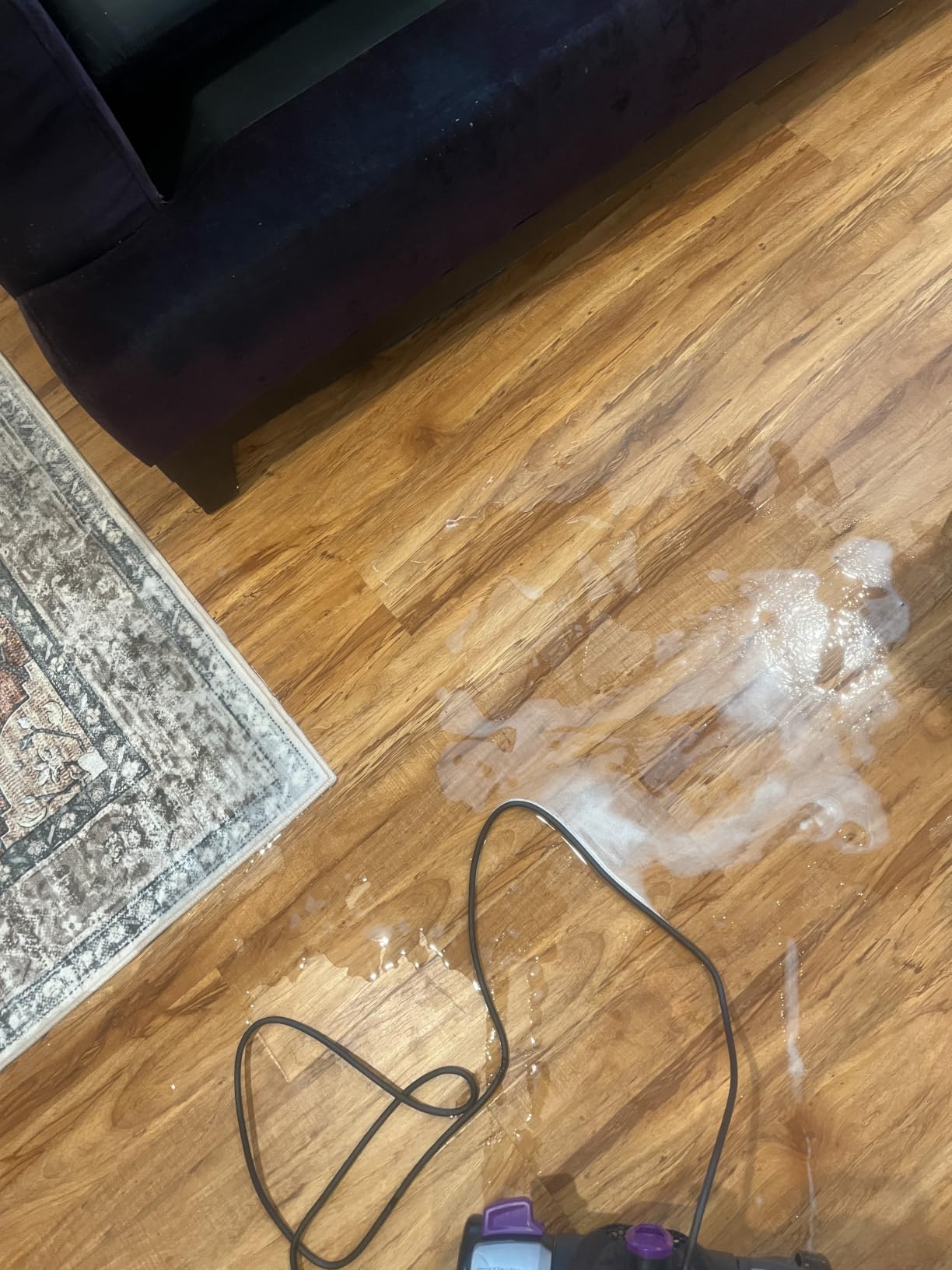 BISSELL ProHeat 2X Revolution Pet Pro Plus Carpet Cleaner, 3588F customer photo 2