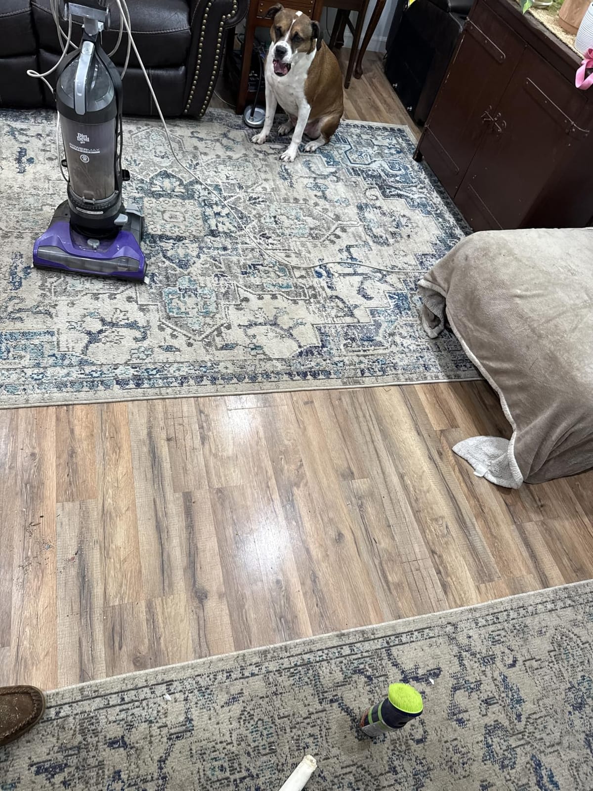 BISSELL Spotlifter Pet Carpet and Upholstery Cleaner with Brush Head - 4 Pack, 93523 customer photo 2
