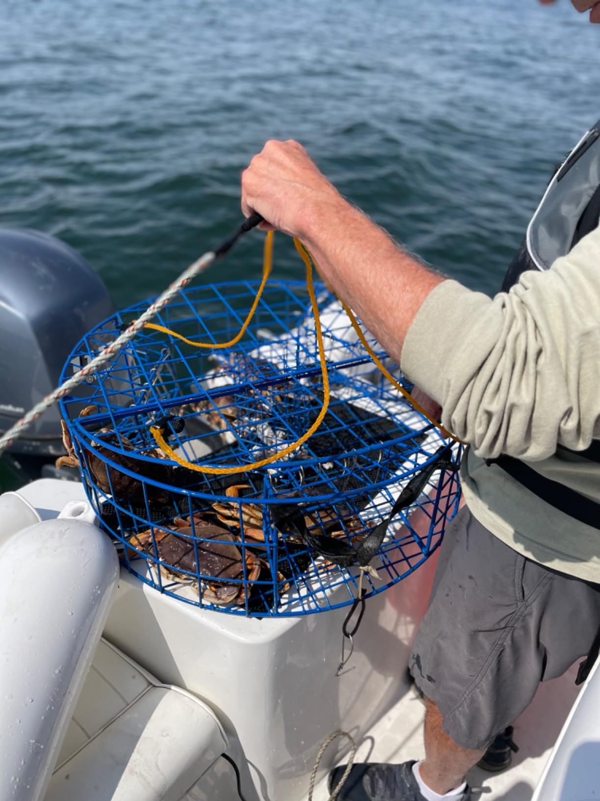 Crab Pot Trap for Dungeness, Heavy Duty Pacific Crabbing Kit customer photo 2