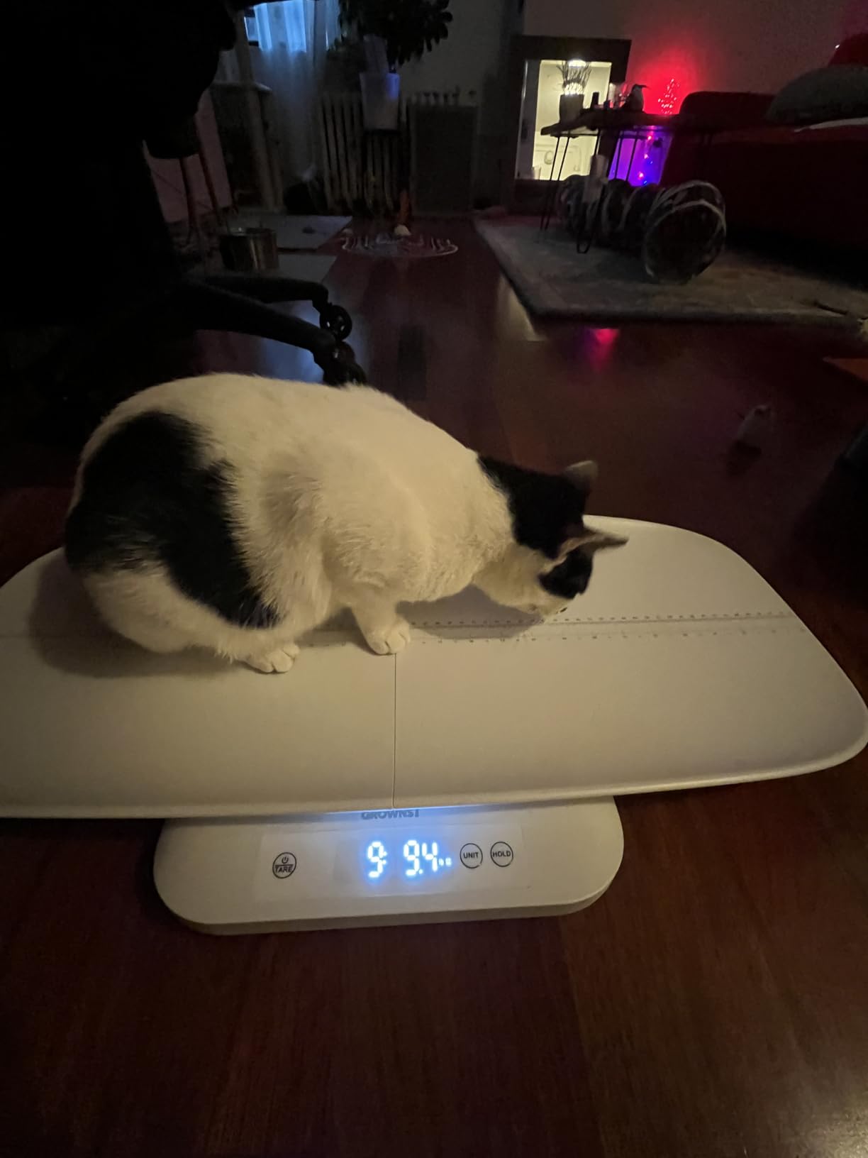 GROWNSY Digital Baby Scale & Pet Scale Up to 330 lbs, White customer photo 2
