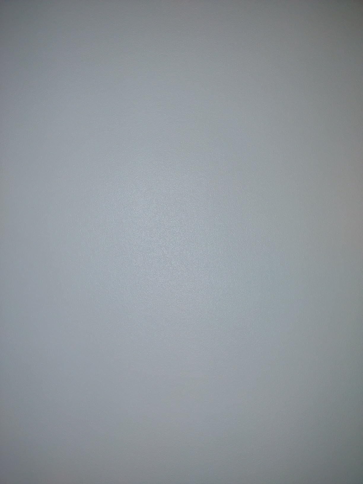 RAUBAY 78.7 x 86.6in Retractable Pull Down Green Screen Chroma Key Backdrop customer photo 2
