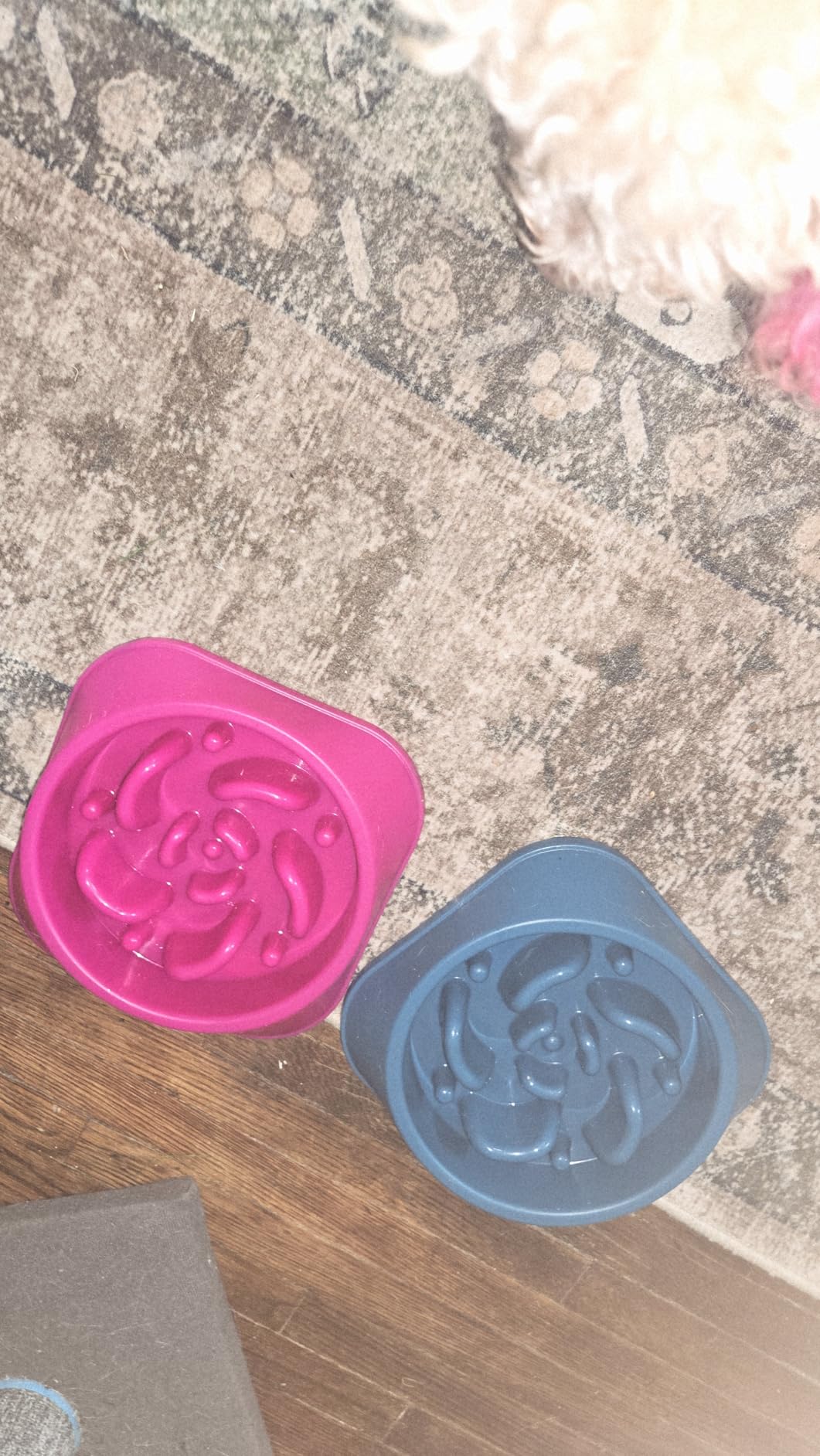 MateeyLife 2-Pack Slow Feeder Dog Bowls, 2 Cups, Dog Puzzle Feeder Bowl | Food-contact safe, dishwasher safe, non-slip base, maze design, for fast eaters, for dogs and cats, daily mealtimes customer photo 2