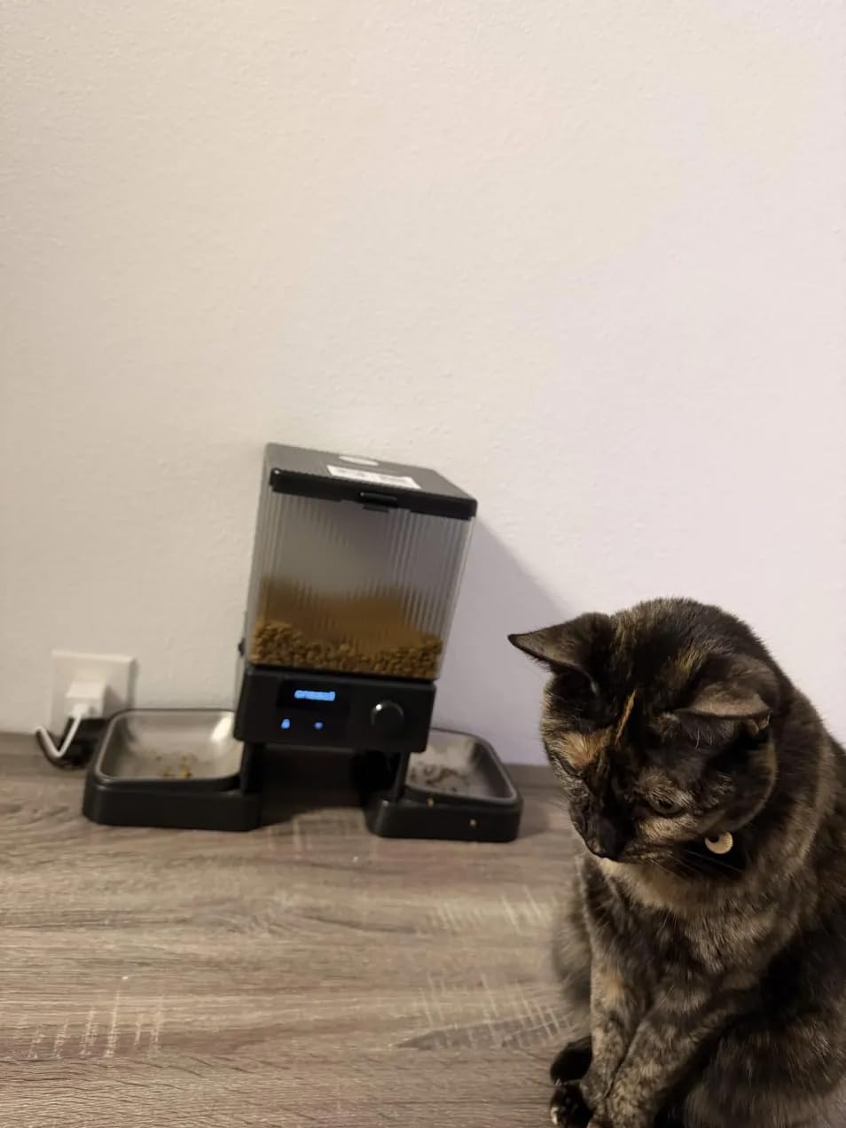 oneisall 5G WiFi Automatic Cat Feeder for 2 Cats, App Control, 20 Cups/5L customer photo 1