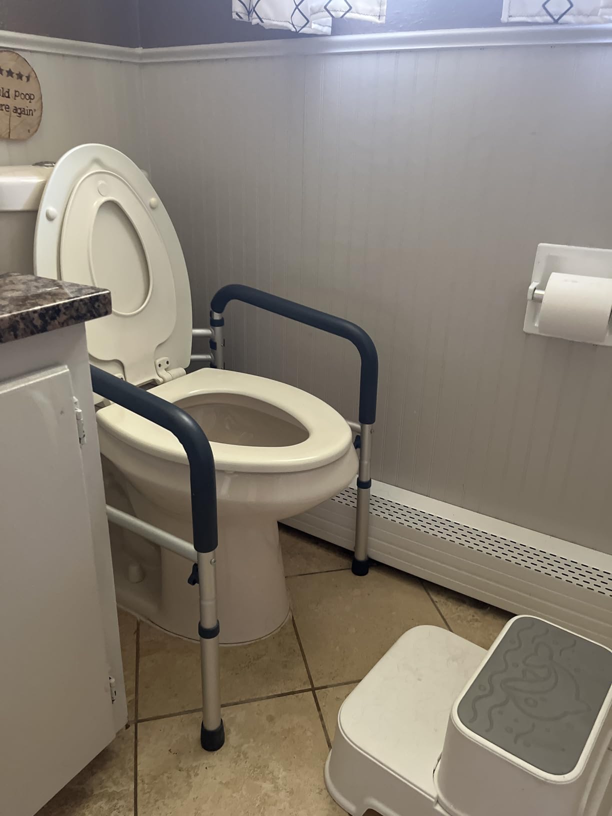 PELEGON Toilet Safety Rails (350 lb) - Adjustable Toilet Safety Frame & Rails, Toilet Safety Rail for Elderly Adults, Toilet Handles for Seniors, Toilet Bars for Elderly & Handicap customer photo 2