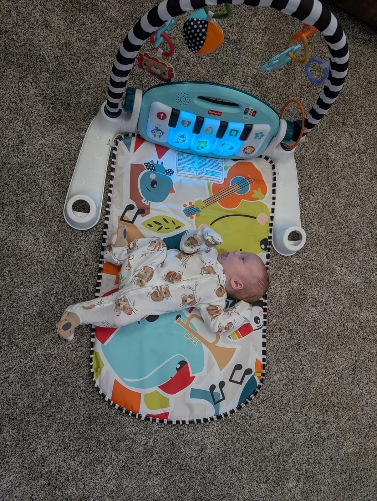 Fisher-Price Glow and Grow Kick & Play Piano Gym, Blue customer photo 2