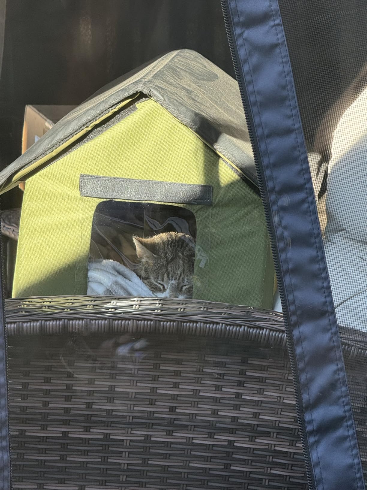 Heated Cat Houses for Outdoor Cats - Elevated Weatherproof Insulated Heated Outdoor Cat House for Winter - Feral Cat Shelter for Outside Cats - Outdoor Heated Cat House (Green) customer photo 1