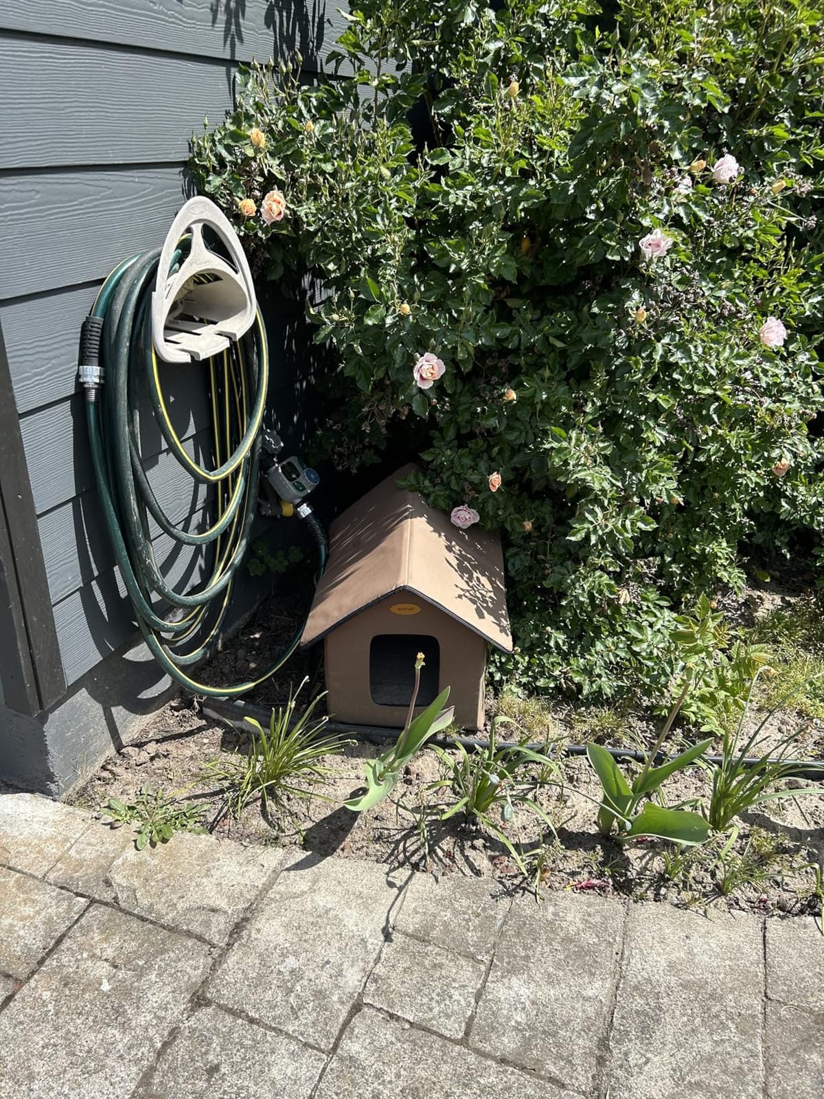 Heated Cat Houses for Outdoor Cats - Elevated Weatherproof Insulated Heated Outdoor Cat House for Winter - Feral Cat Shelter for Outside Cats - Outdoor Heated Cat House (Green) customer photo 2