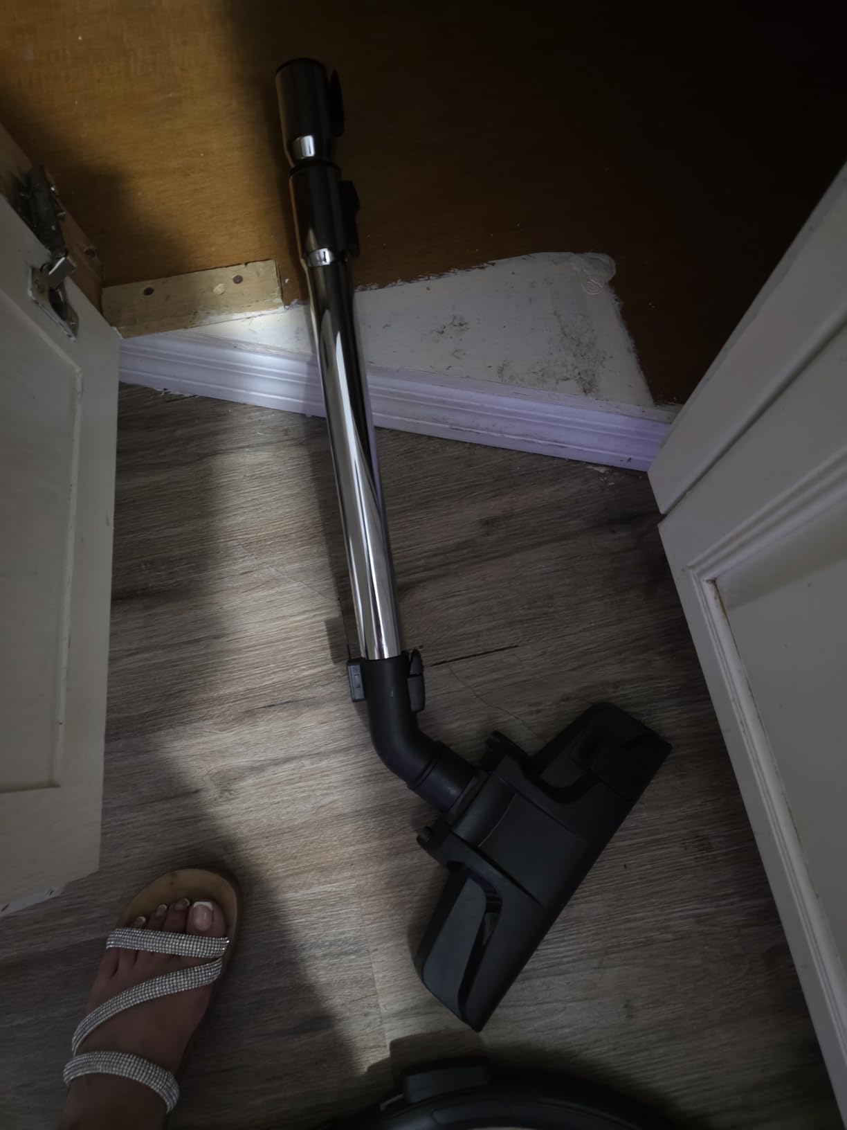 Eureka Bagless Canister Vacuum Cleaner, Vacuum for Hardwood Floor, Carpet customer photo 2