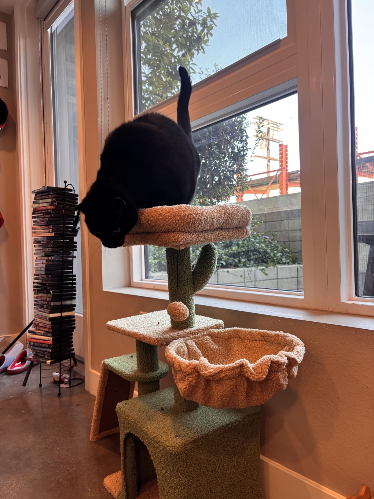 PETEPELA Cactus Cat Tree for Kittens & Small Cats, 32in Cat Tower,Green customer photo 2